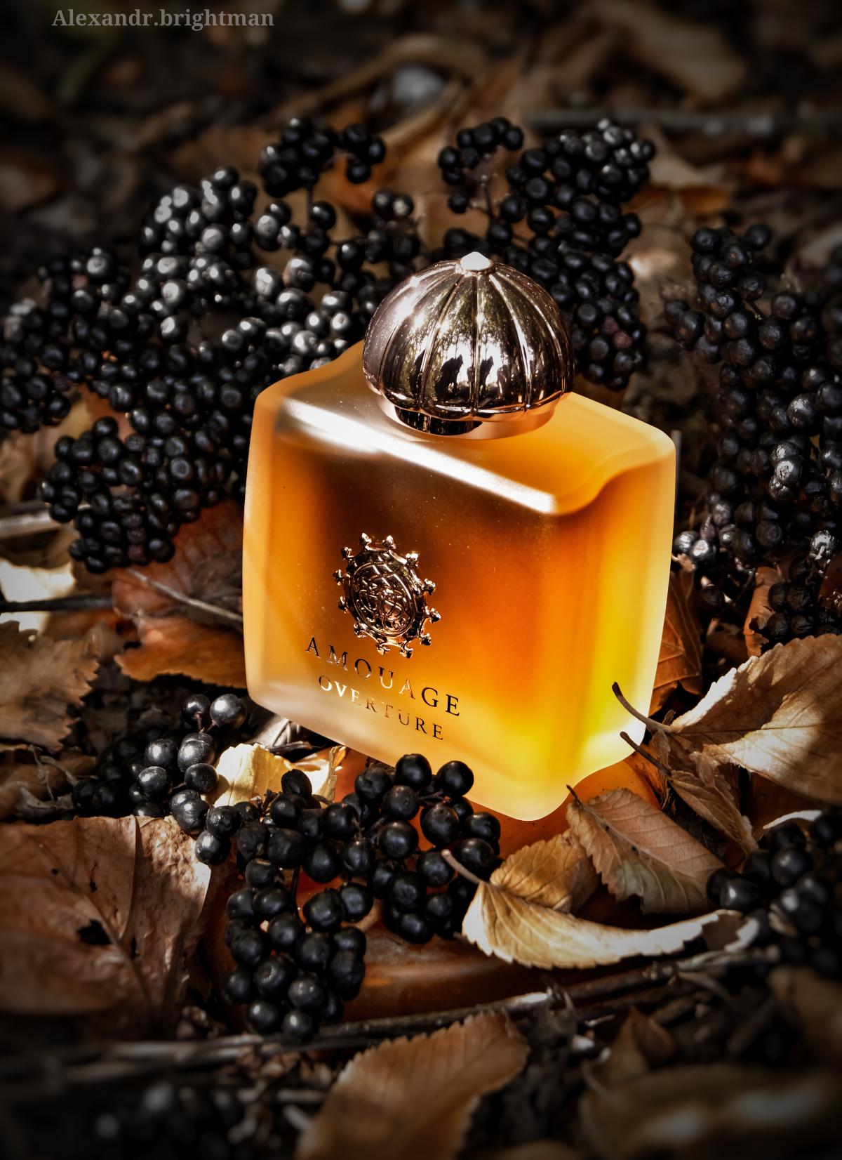 Overture Women - Amouage - Gallery 1