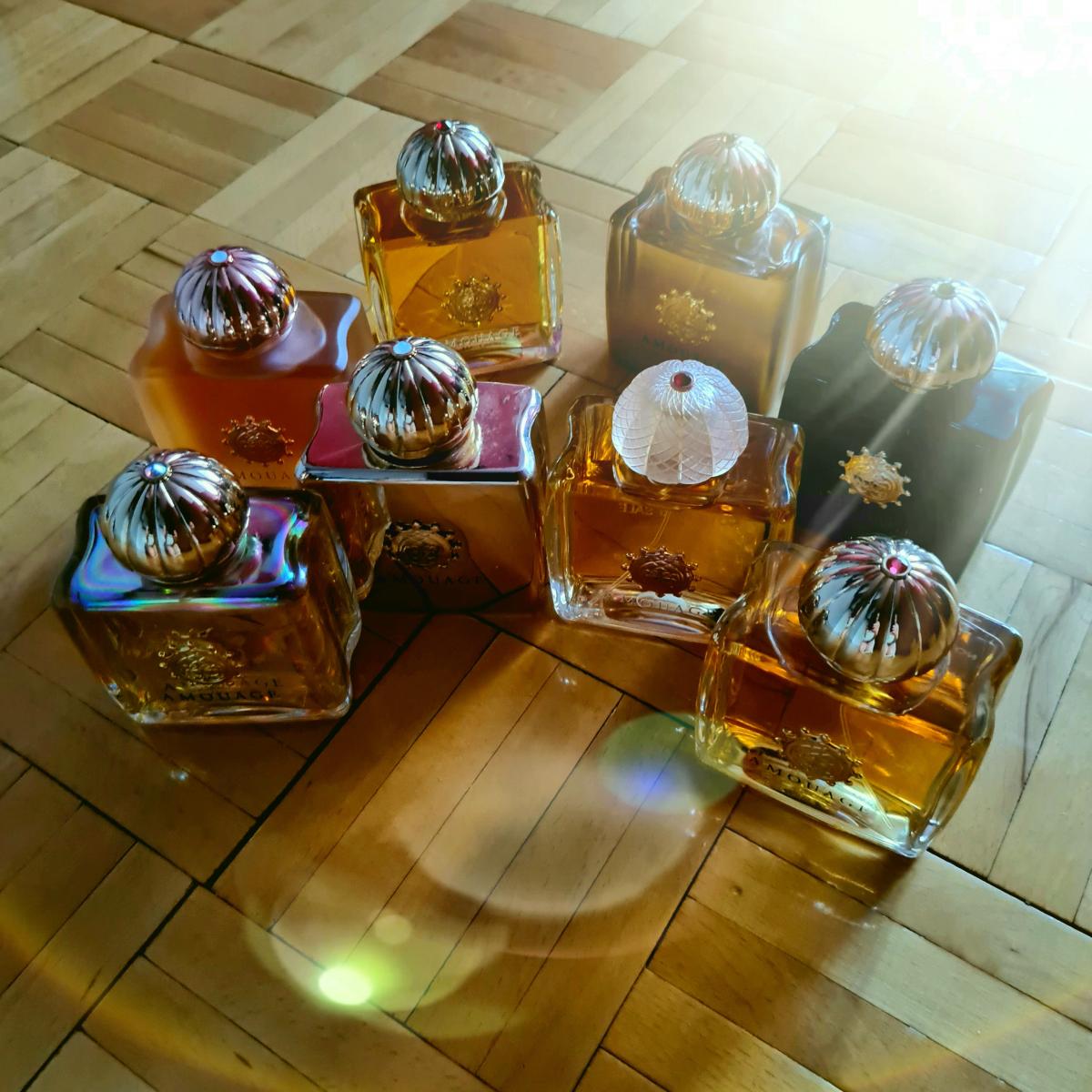 Overture Women - Amouage - Gallery 4