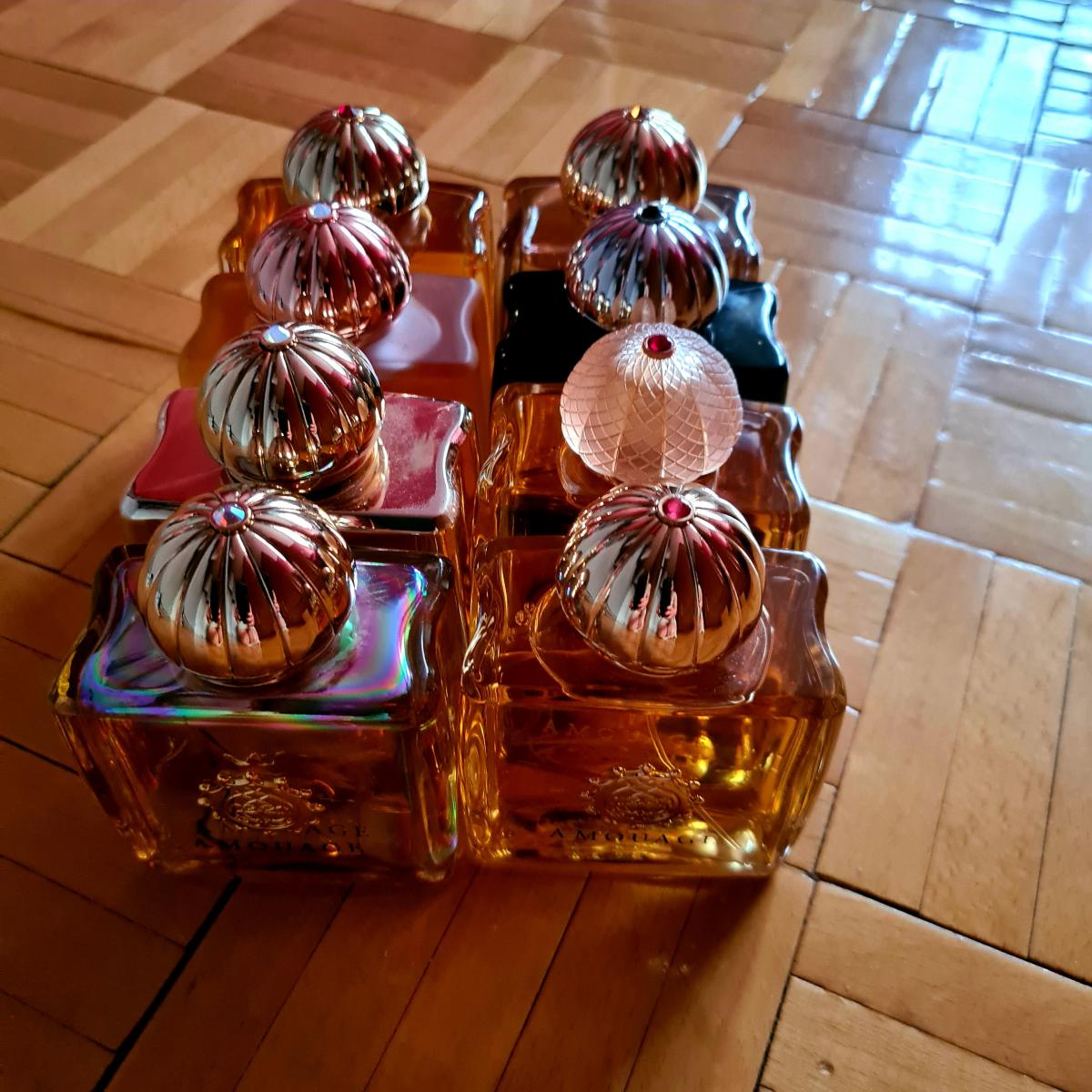 Overture Women - Amouage - Gallery 1