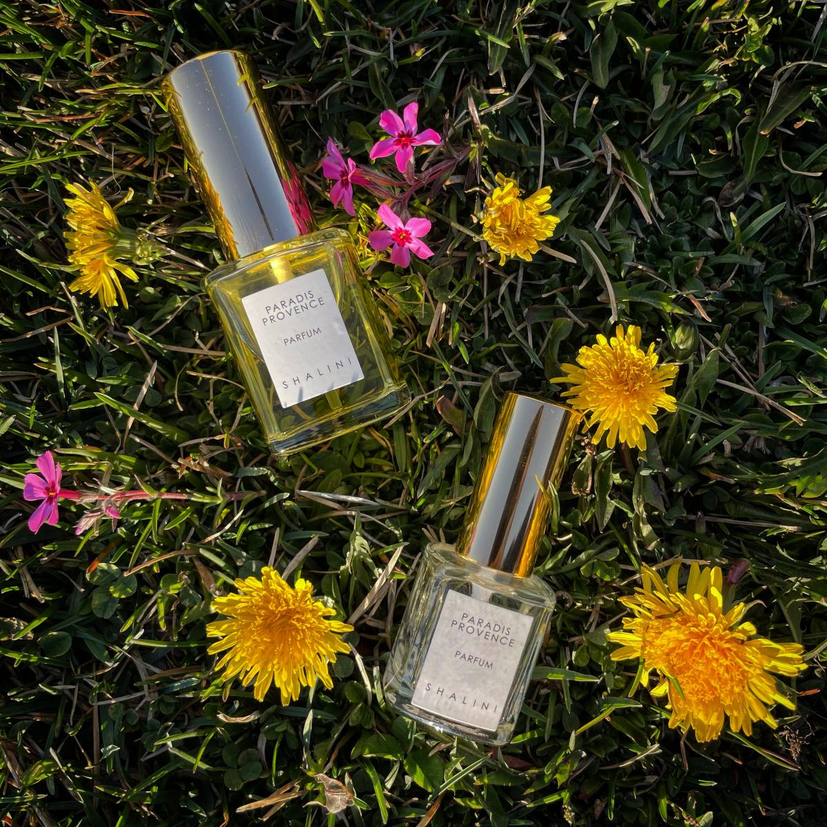 Paradis Provence - Shalini - Gallery 2