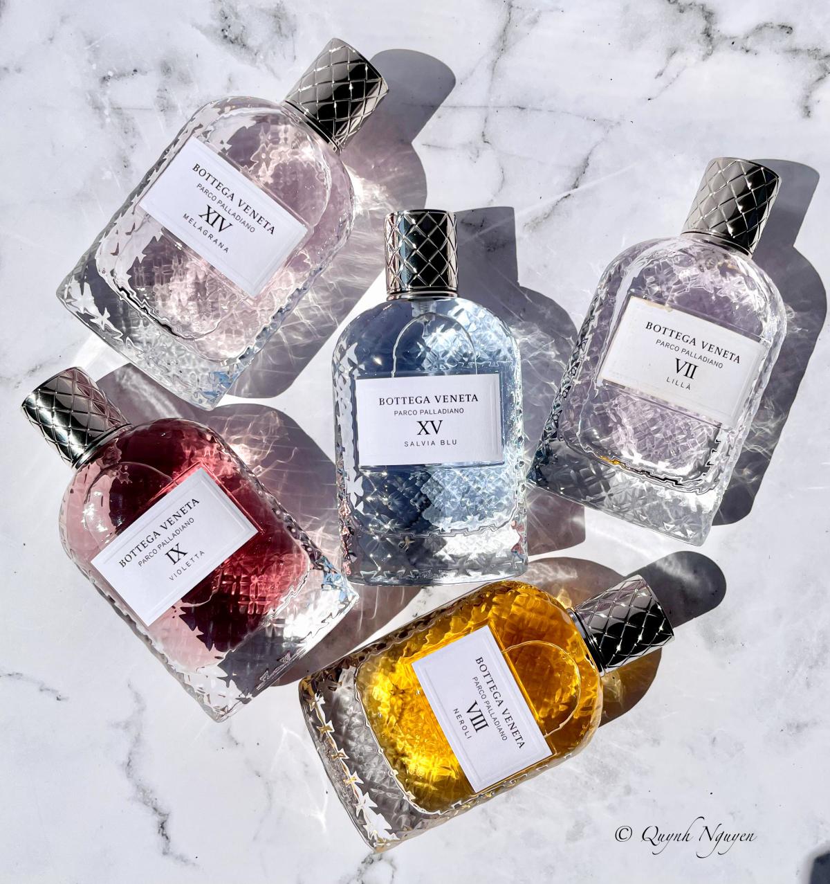 Parco Palladiano XV: Salvia Blu - Bottega Veneta - Gallery 1