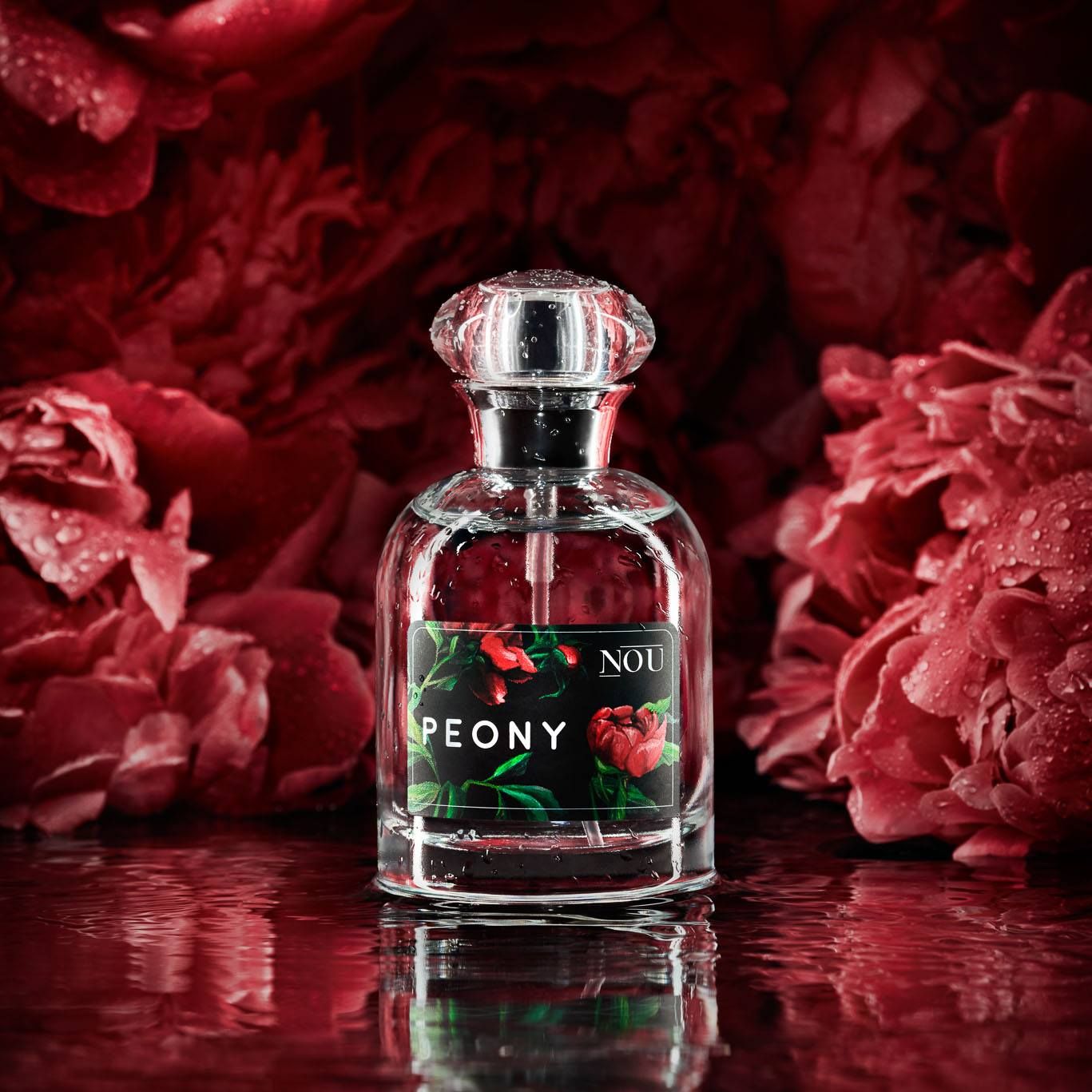 Peony - NOU - Gallery 3