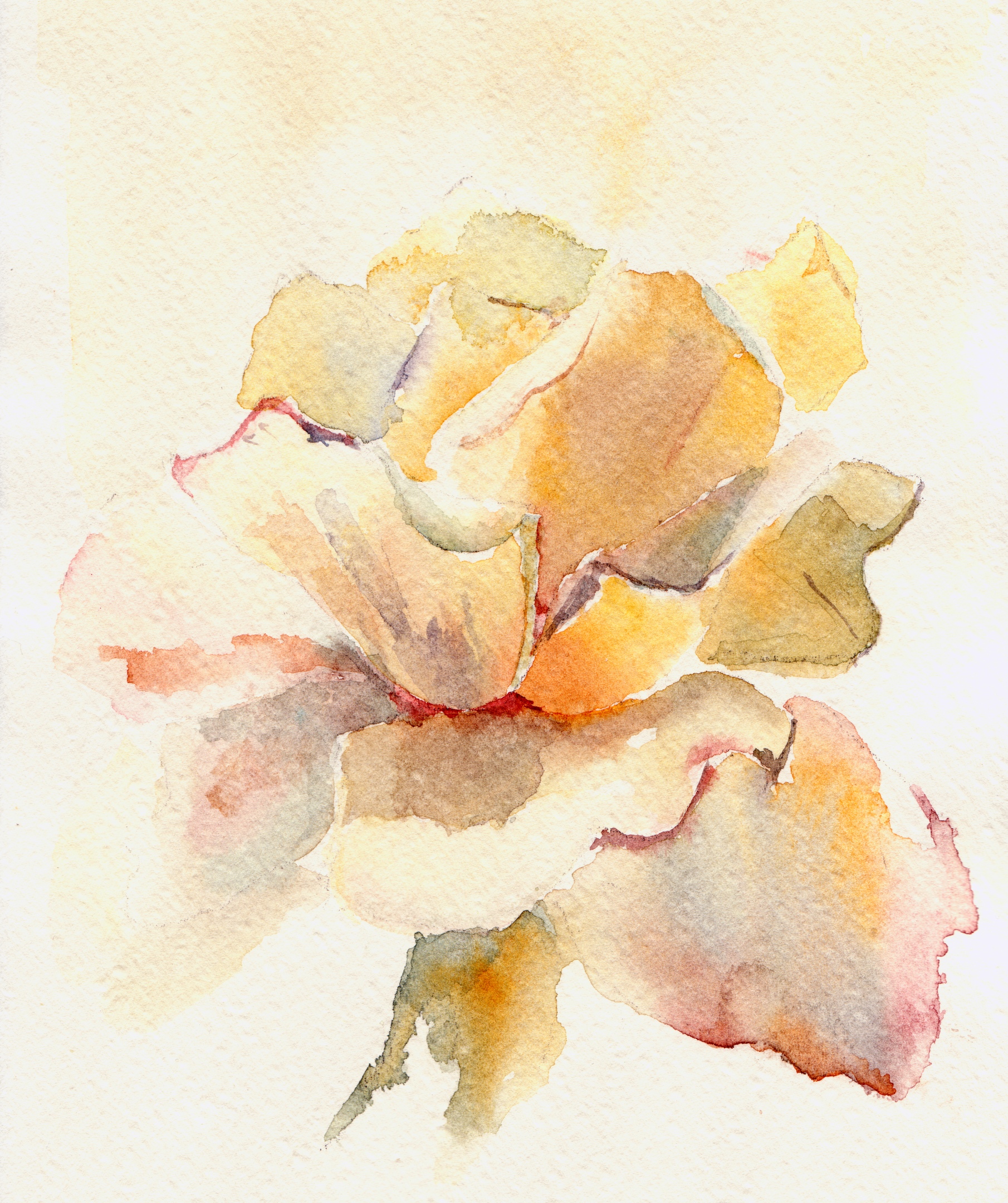 Petals of pale rose - Acidica Perfumes - Gallery 1