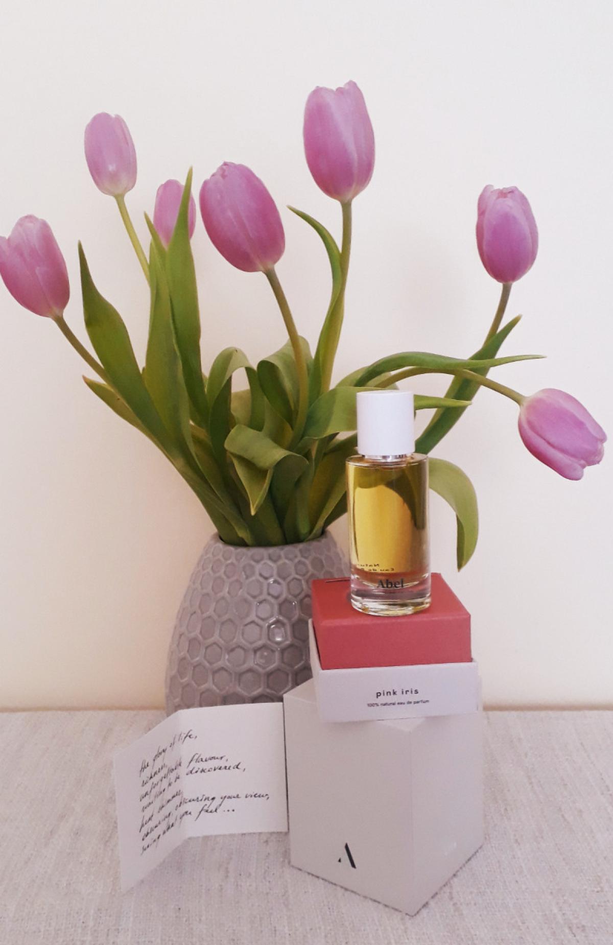 Pink Iris - Abel - Gallery 1