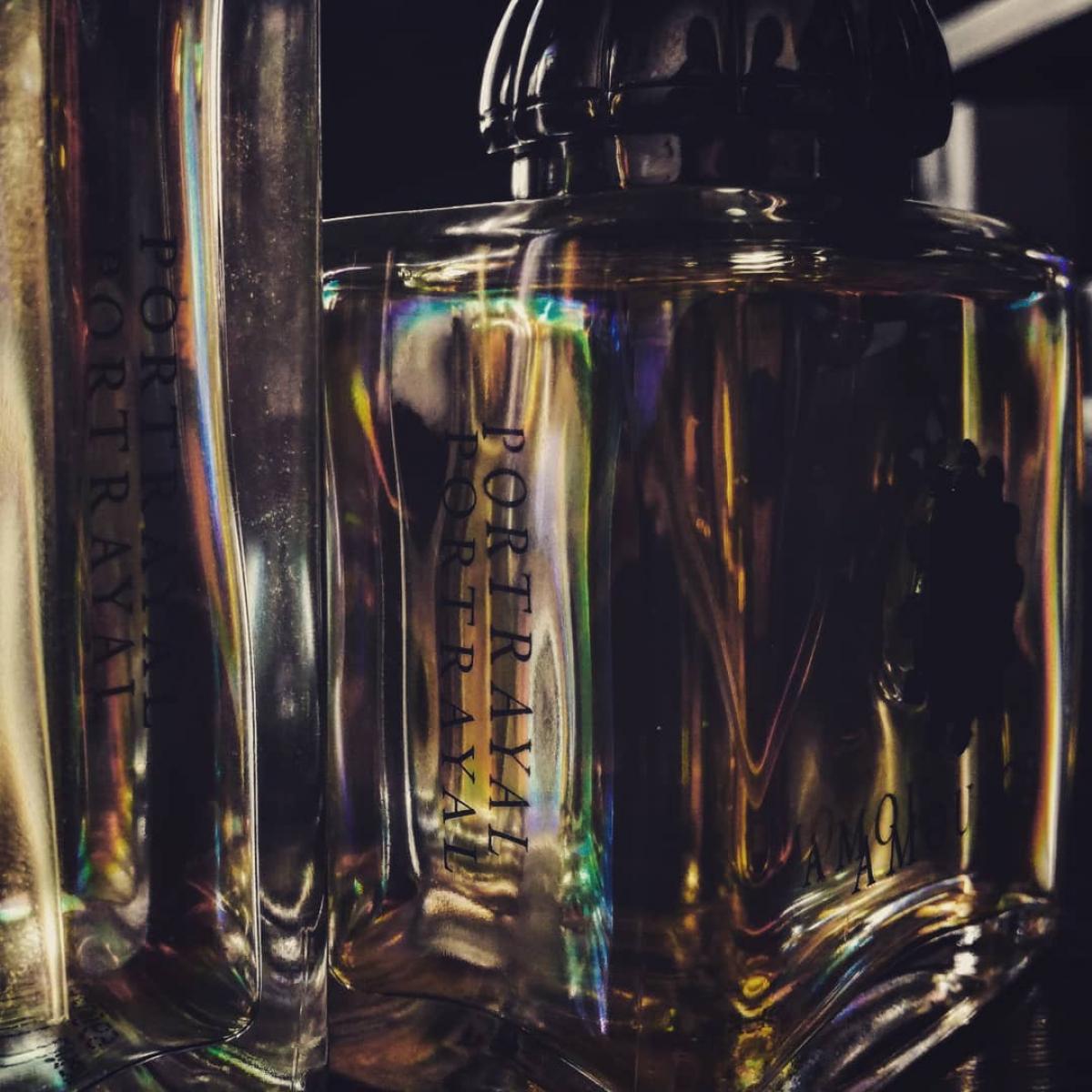 Portrayal Man - Amouage - Gallery 1