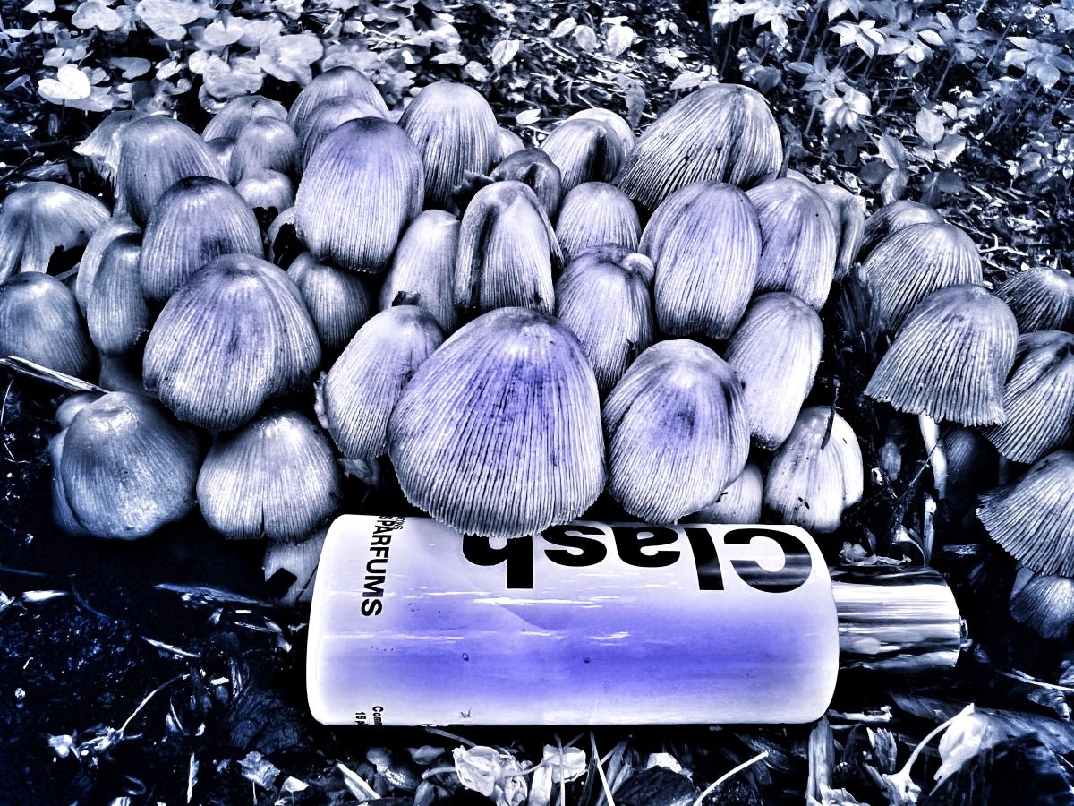 Radish Vetiver - Comme des Garcons - Gallery 1