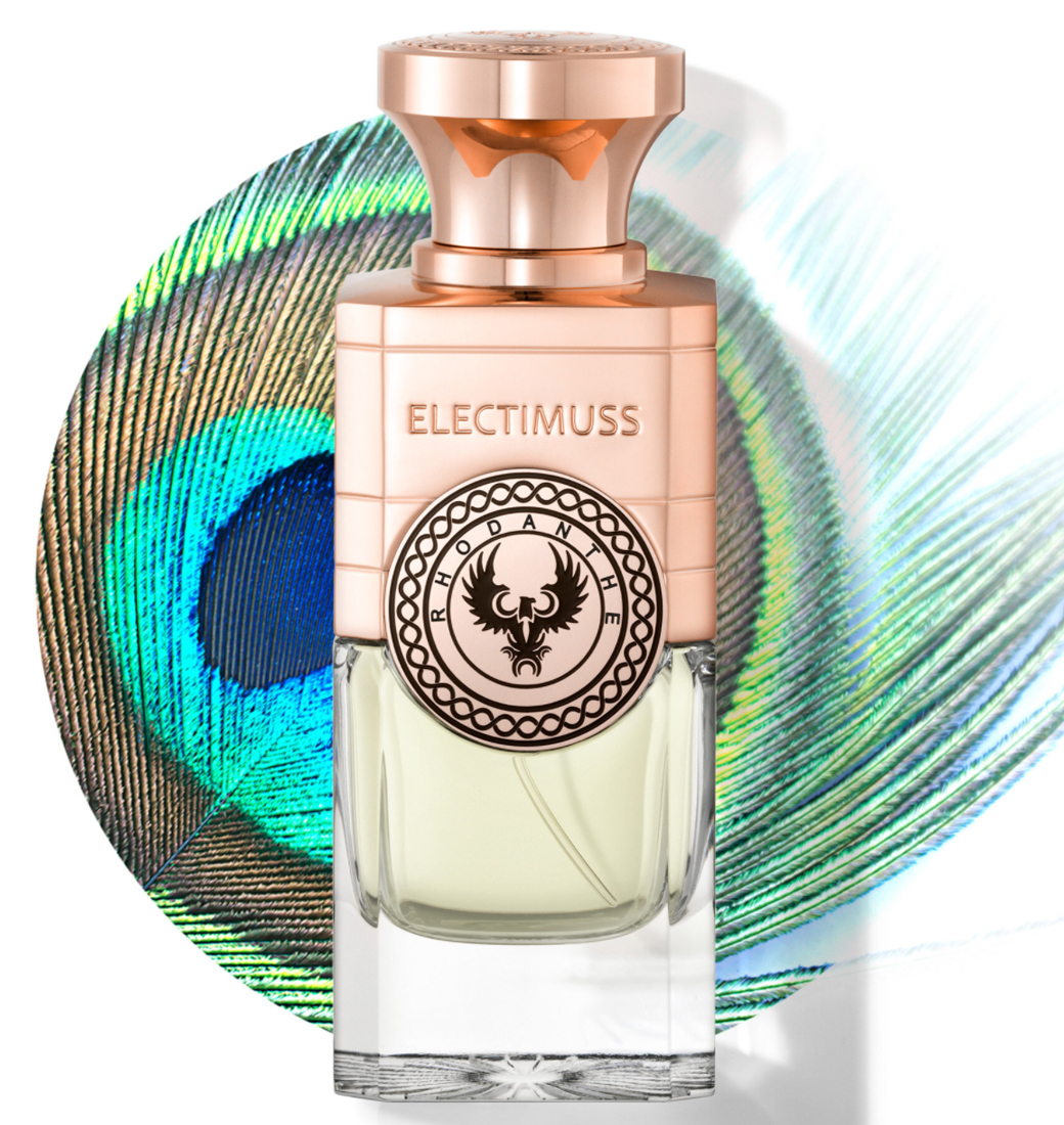 Rhodanthe - Electimuss - Gallery 3