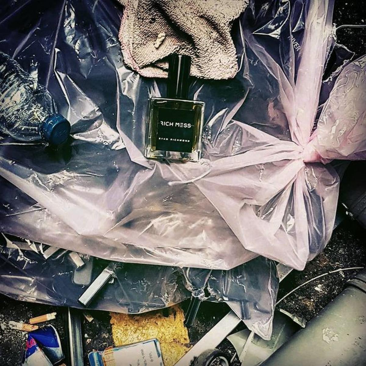 Rich Mess - Ryan Richmond - Gallery 2