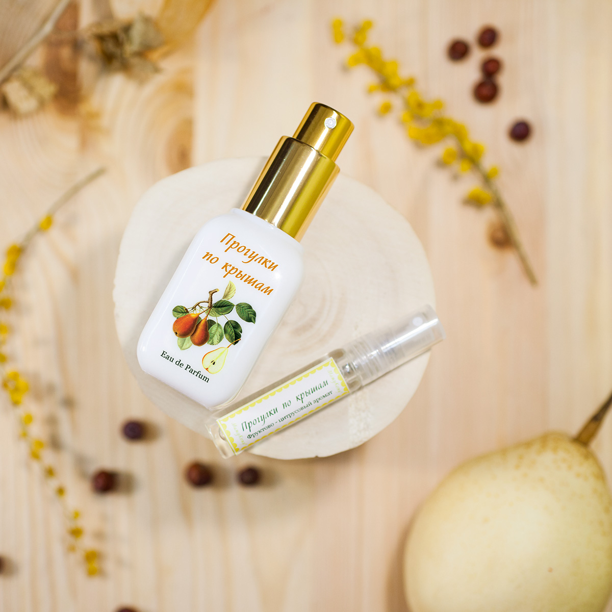 Rooftop Walks (Прогулки По Крышам) - Mazhu Kozhu (Мажу Кожу) - Gallery 1