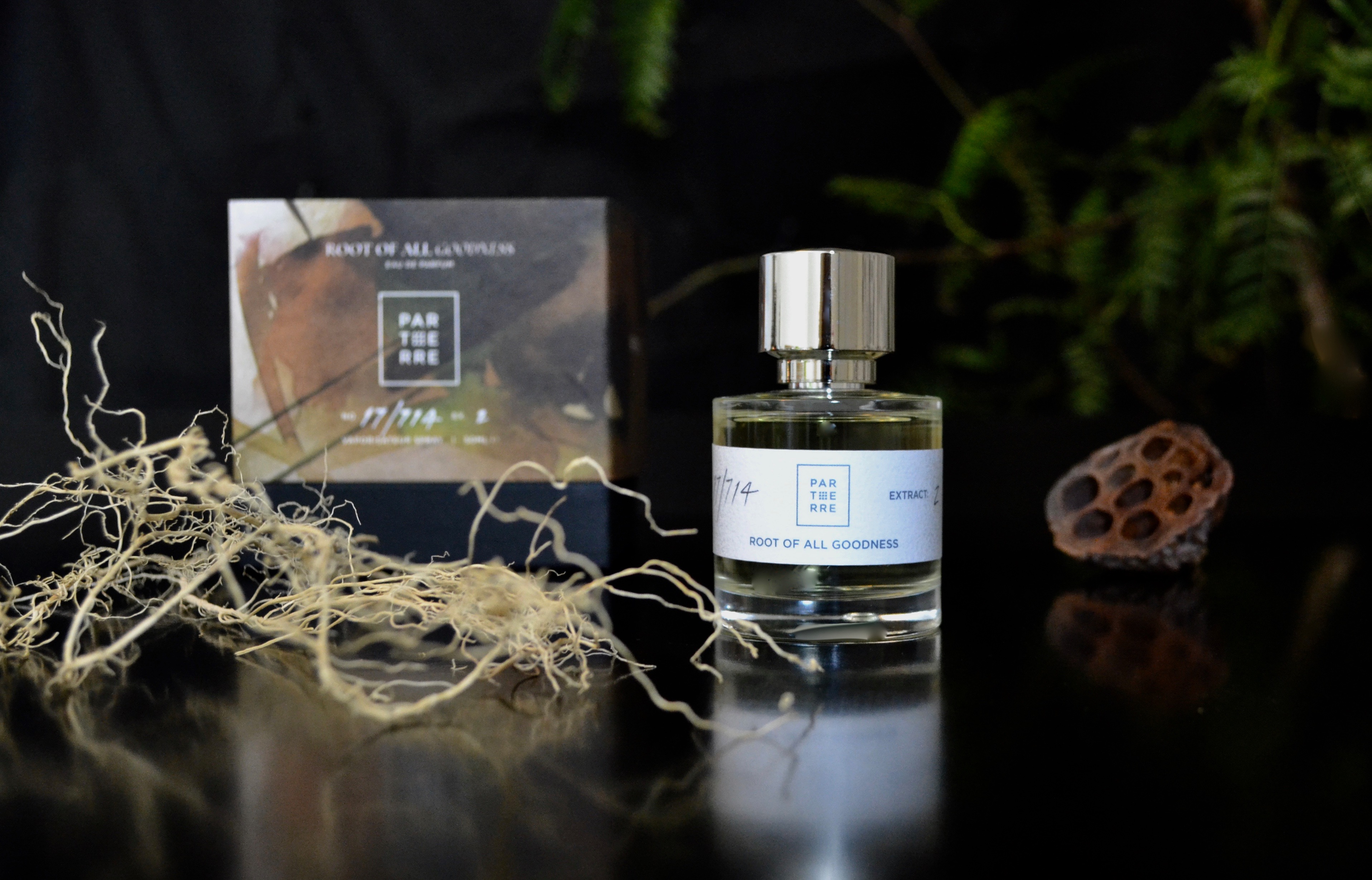 Root of all Goodness - Parterre - Gallery 1