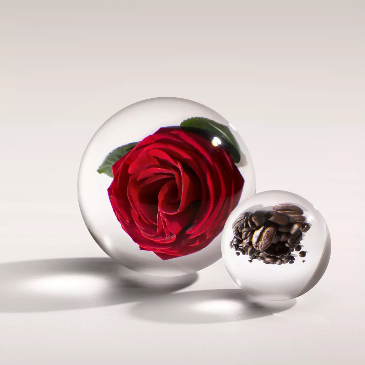 Rosa Absolute Eau de Parfum - Molton Brown - Gallery 3