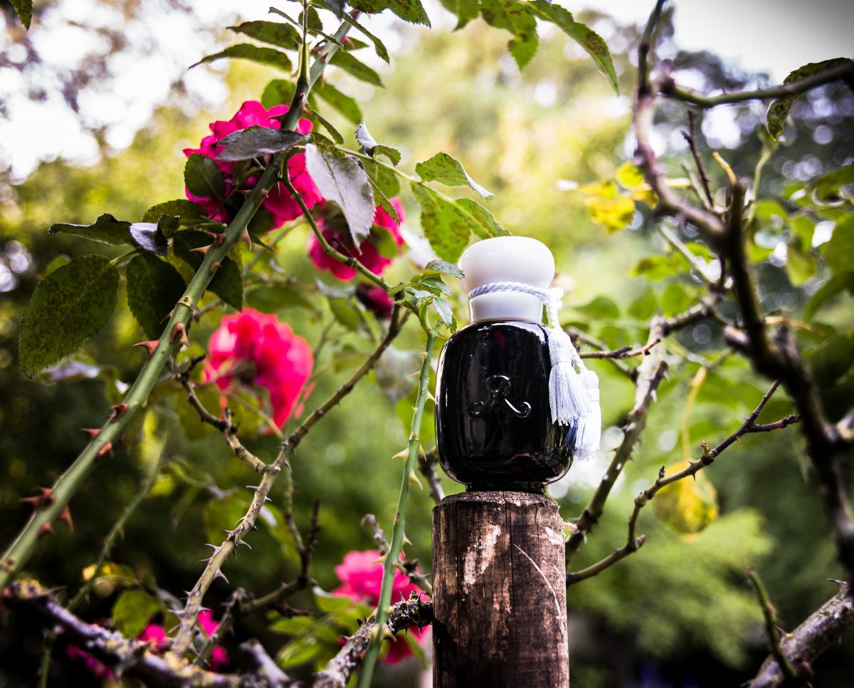 Rose Absolument - Les Parfums de Rosine - Gallery 1