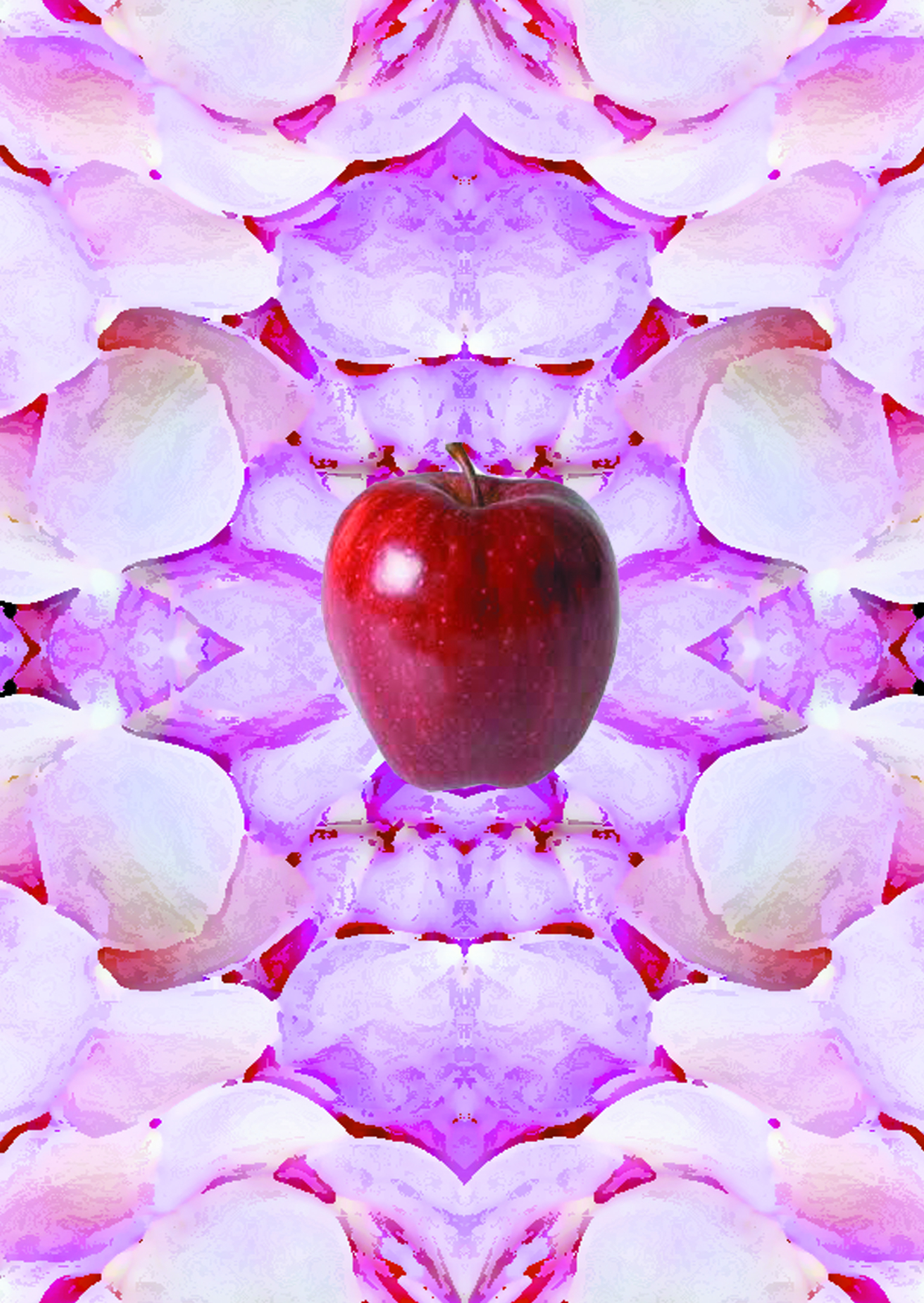 Rose Cider - Acidica Perfumes - Gallery 1