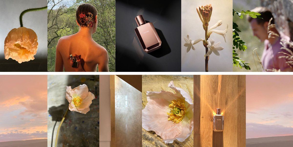 Érose - Elisire - Gallery 4