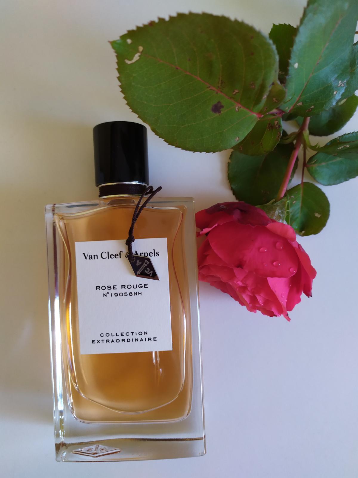 Rose Rouge - Van Cleef & Arpels - Gallery 3