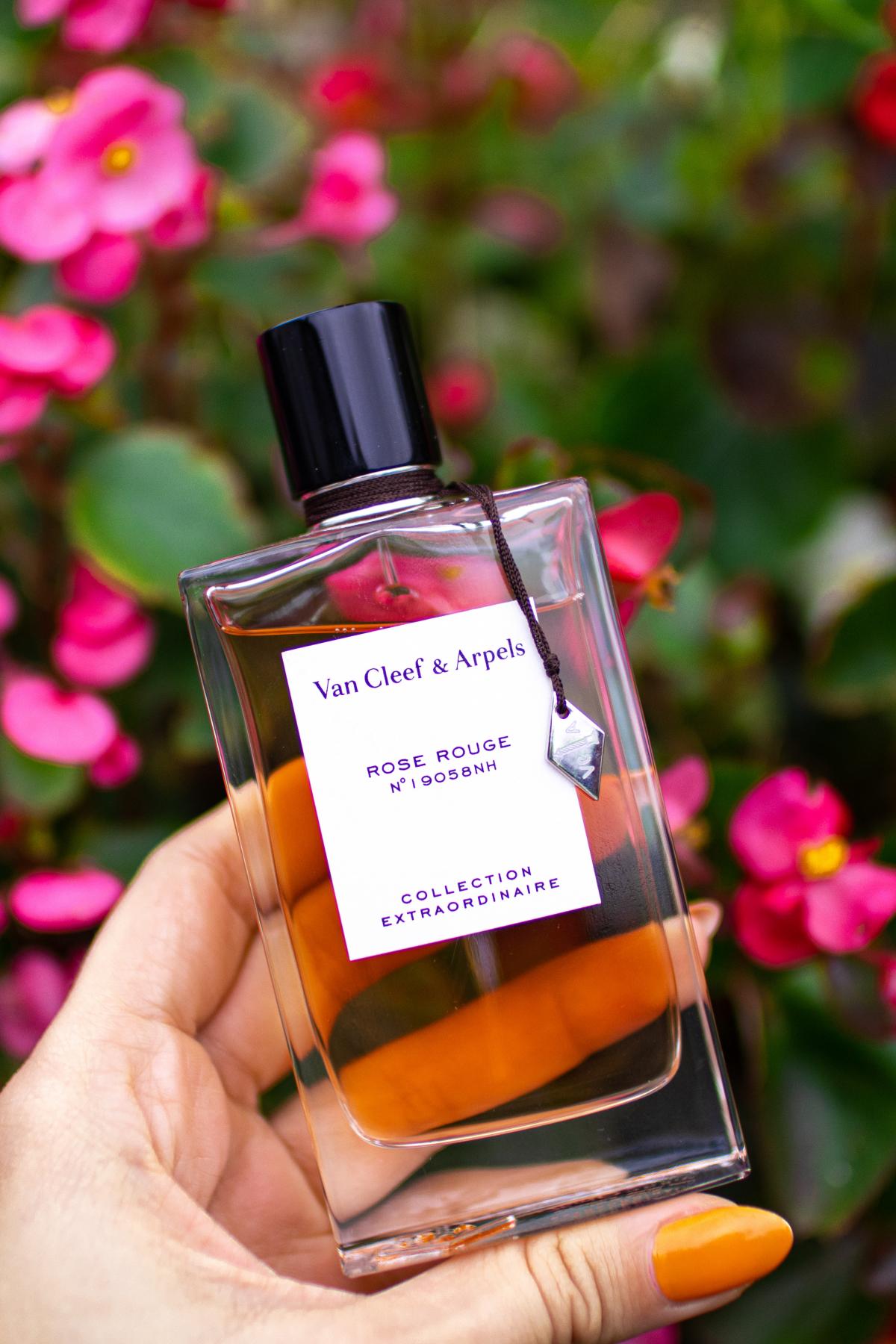 Rose Rouge - Van Cleef & Arpels - Gallery 4