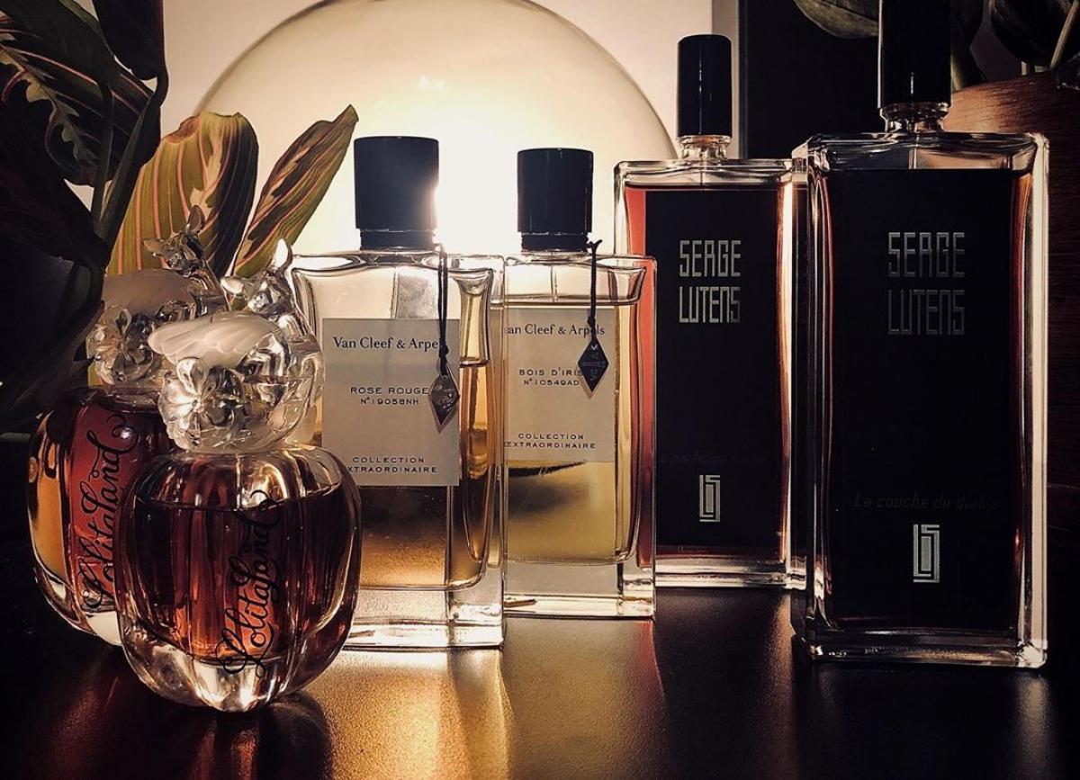 Rose Rouge - Van Cleef & Arpels - Gallery 2