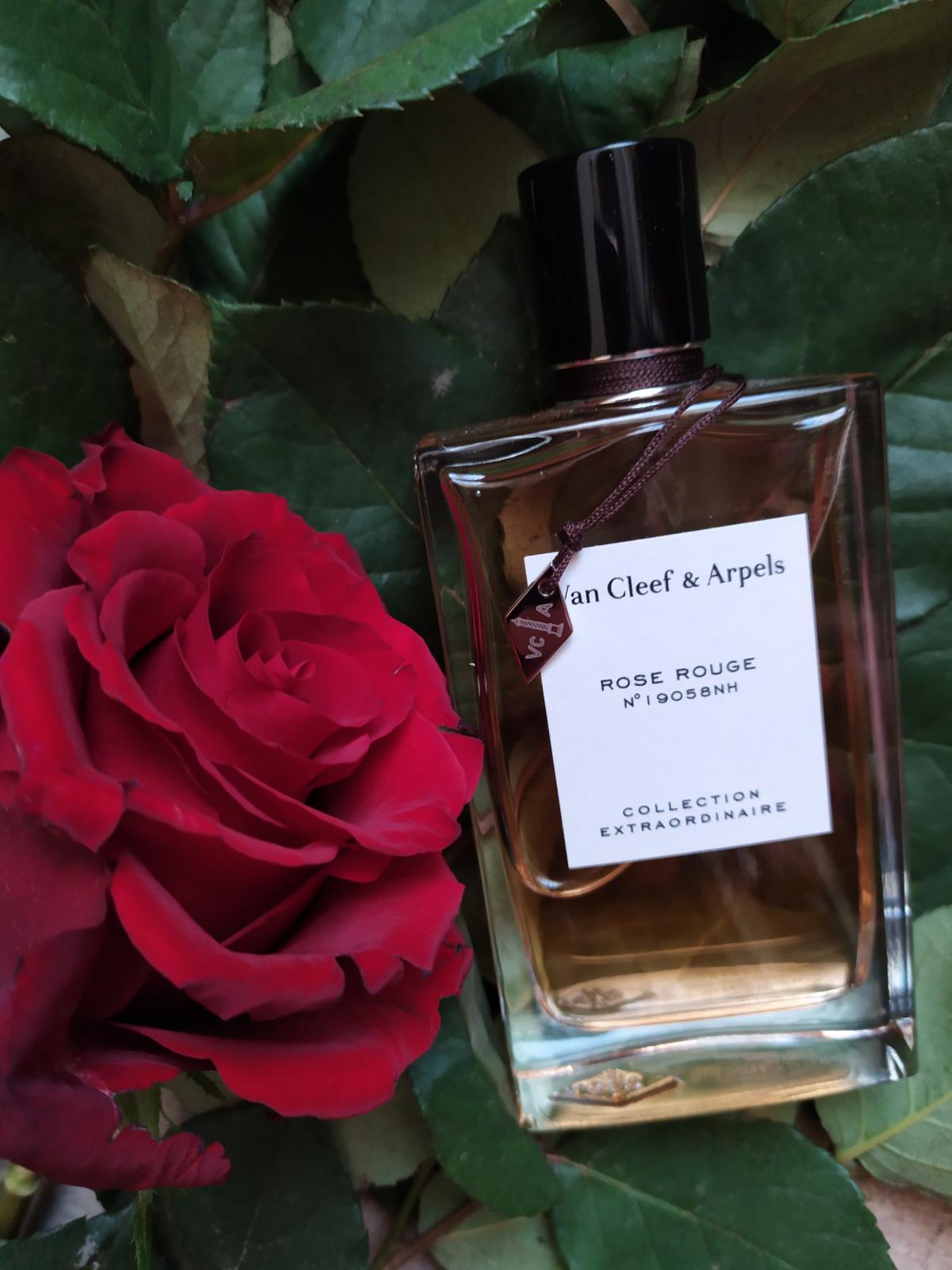 Rose Rouge - Van Cleef & Arpels - Gallery 1