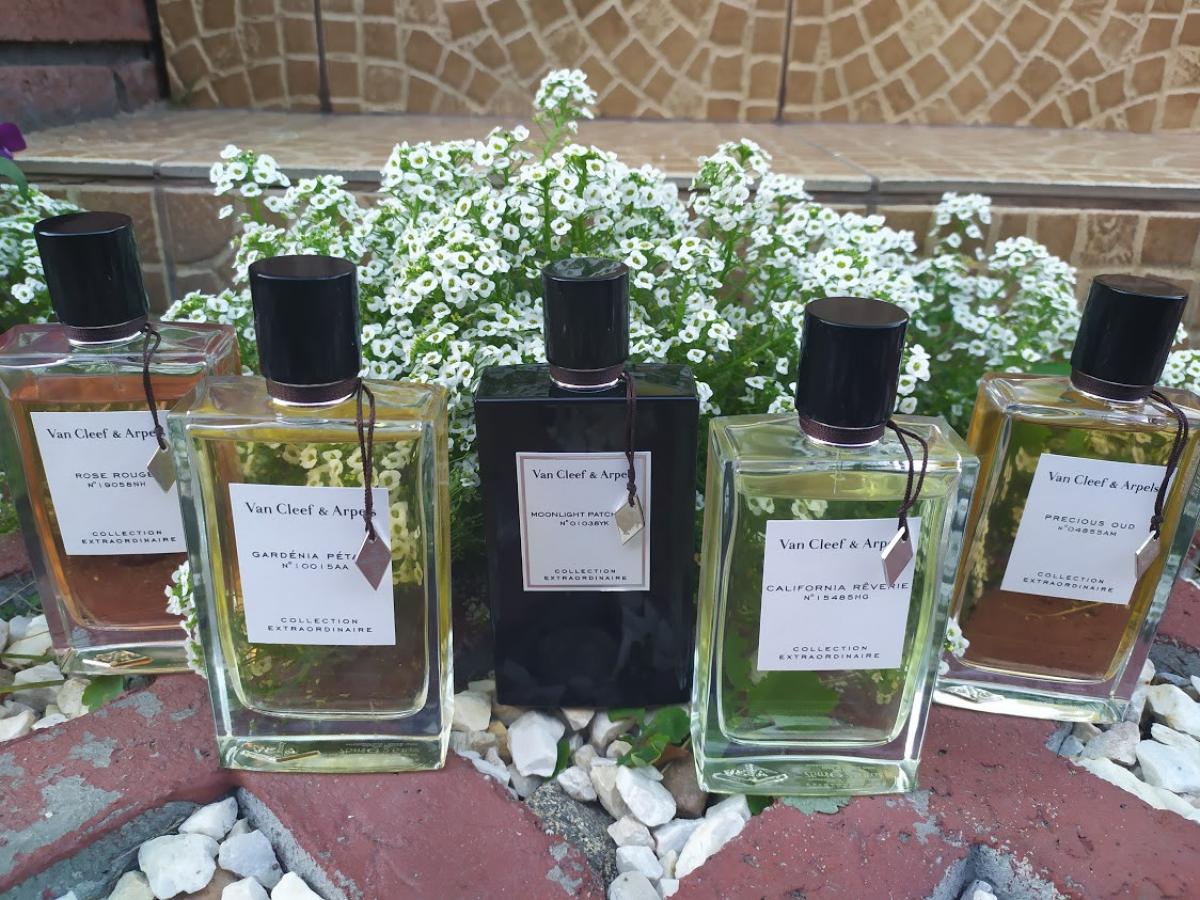 Rose Rouge - Van Cleef & Arpels - Gallery 2
