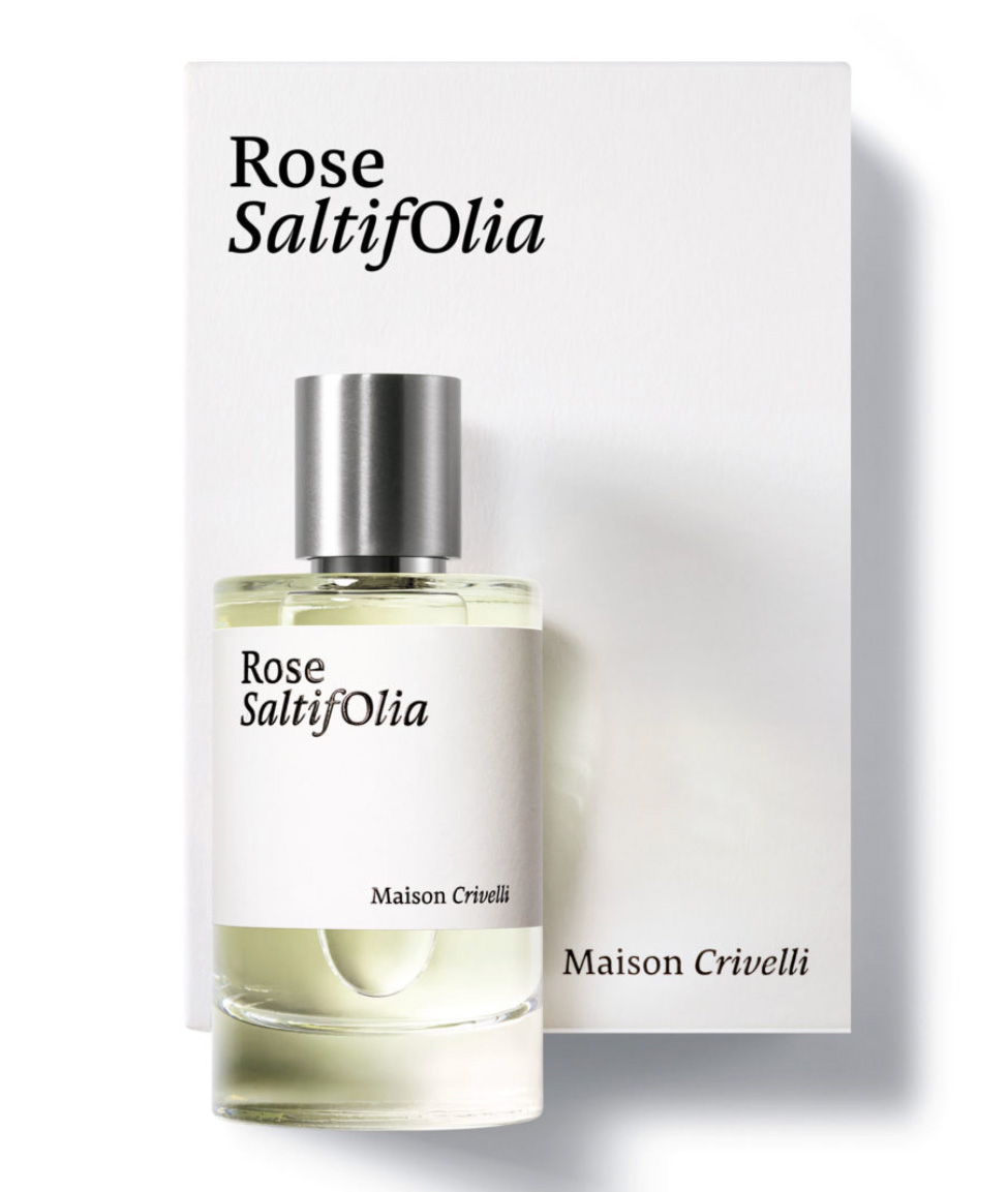 Rose SaltifOlia - Maison Crivelli - Gallery 1