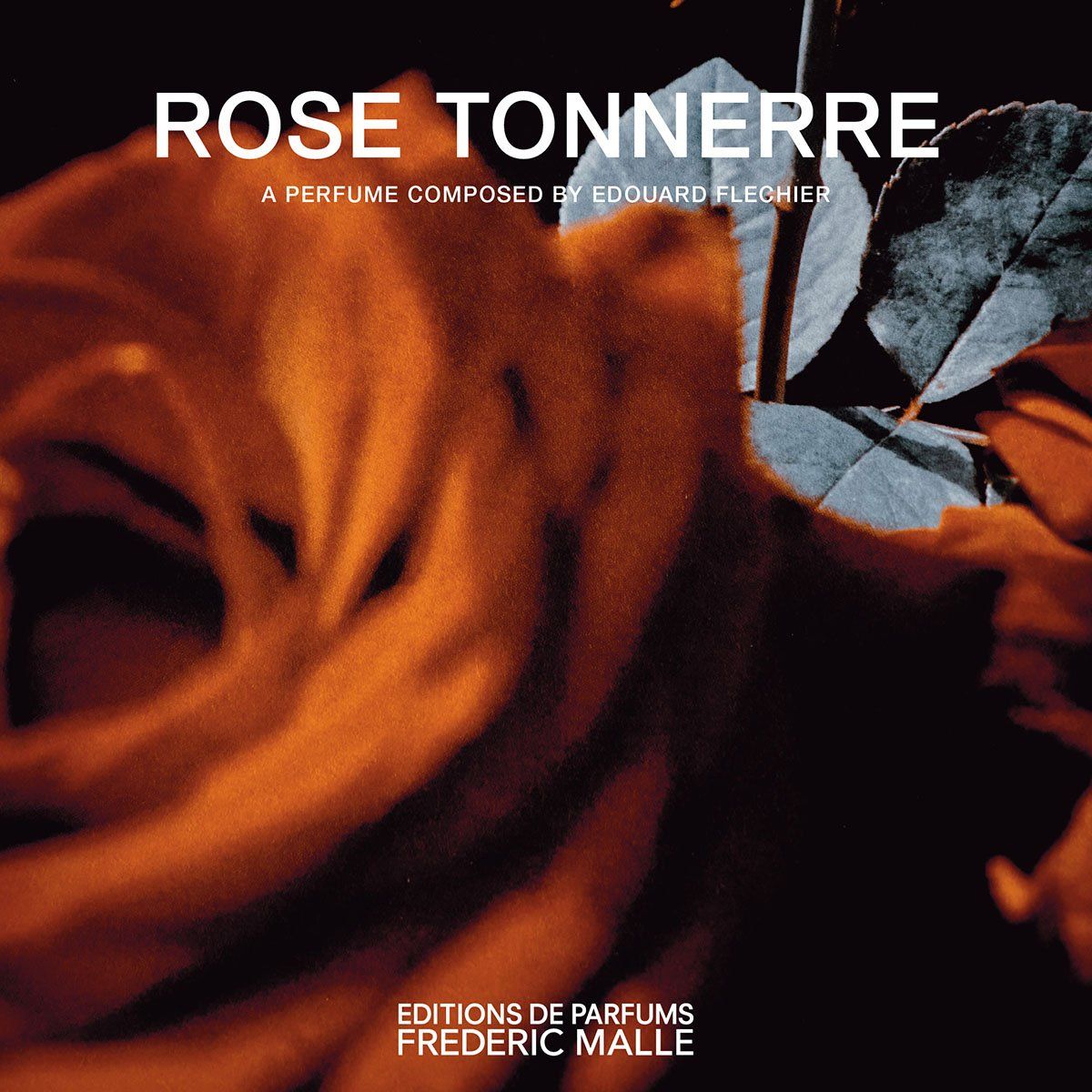 Rose Tonnerre - Frederic Malle - Gallery 1