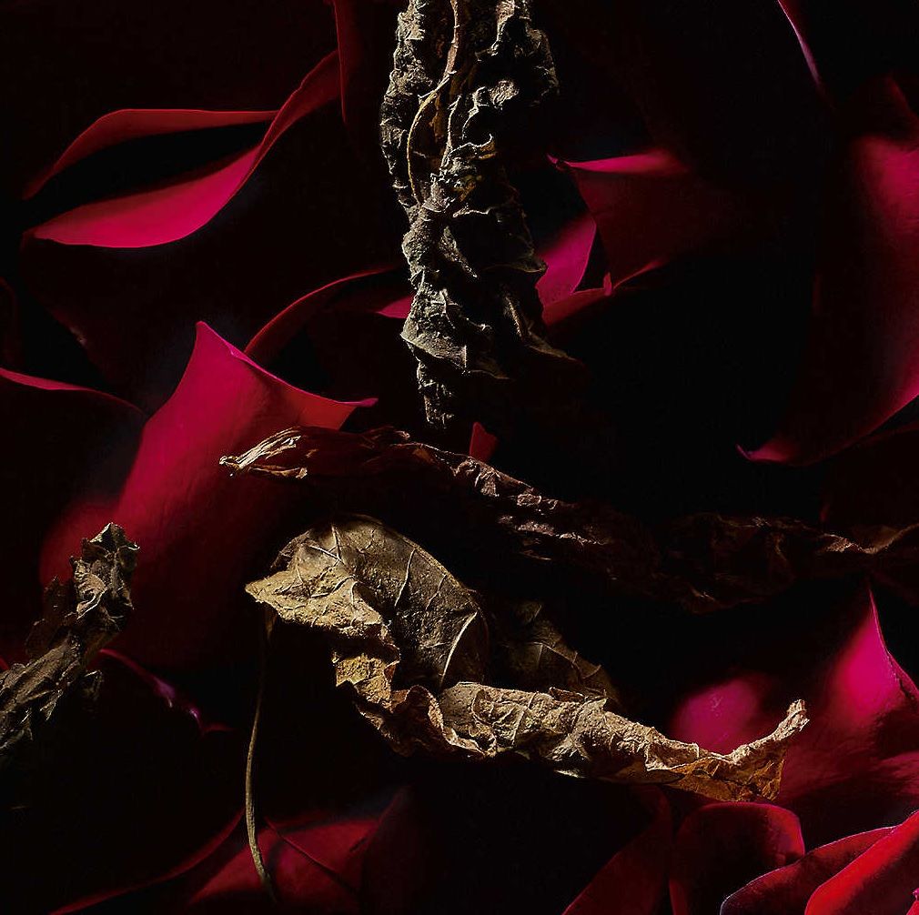 Rouge Velours - Yves Saint Laurent - Gallery 1