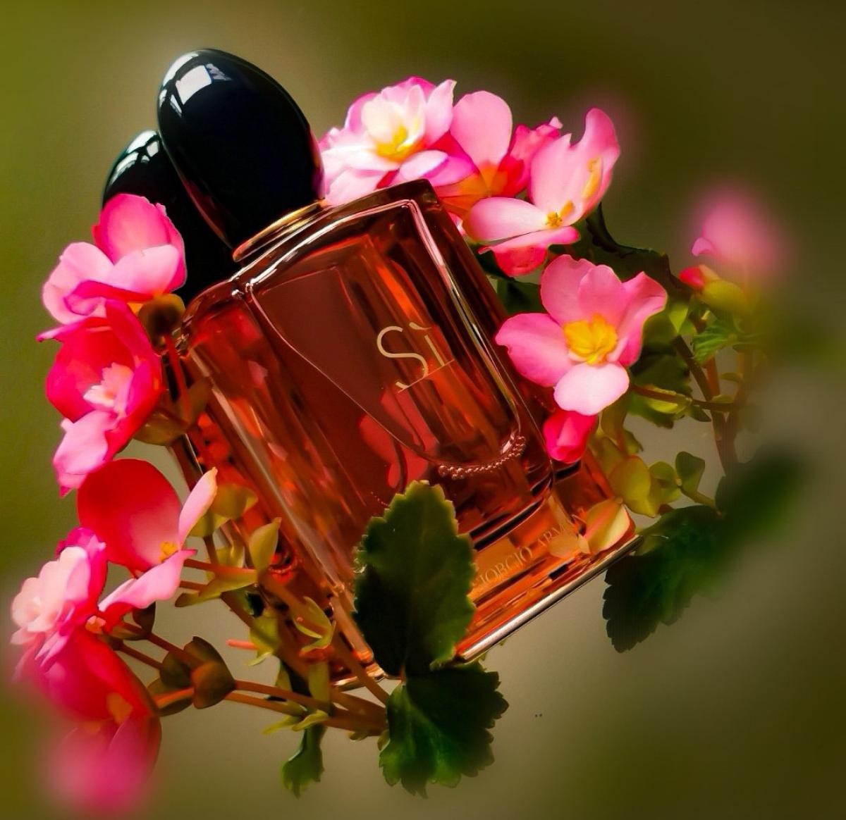 Sì Intense 2021 - Giorgio Armani - Gallery 4