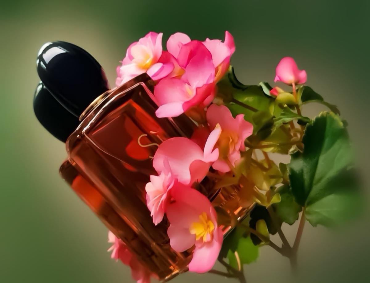 Sì Intense 2021 - Giorgio Armani - Gallery 2