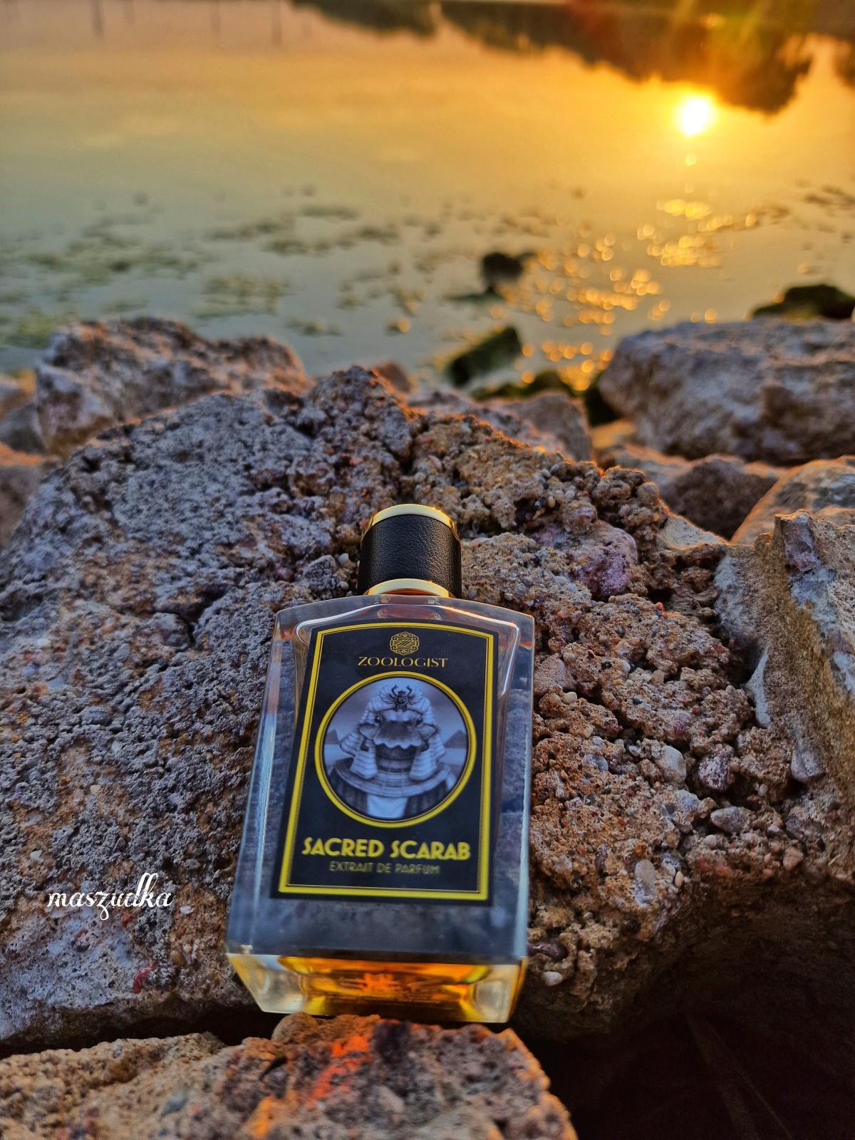 Sacred Scarab - Zoologist Perfumes - Gallery 3