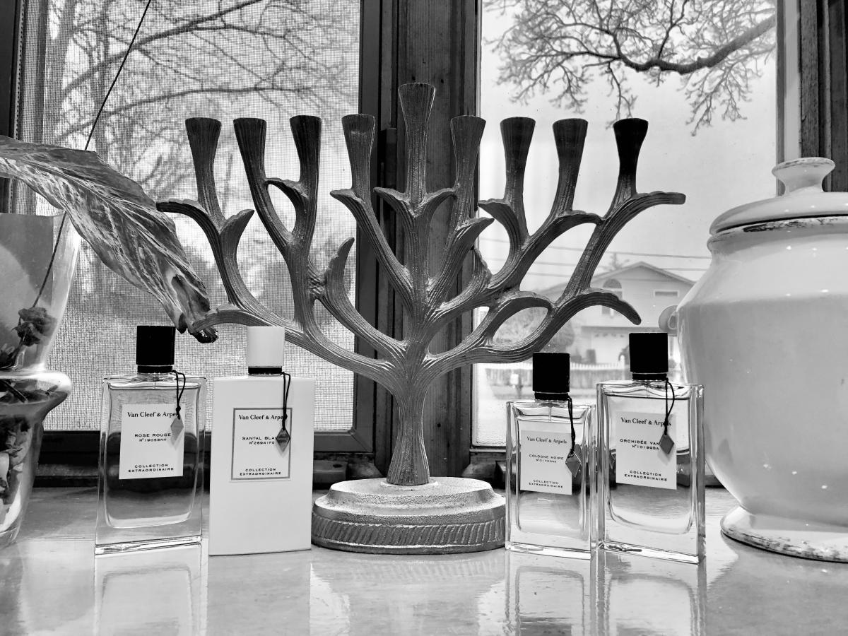 Santal Blanc - Van Cleef & Arpels - Gallery 3