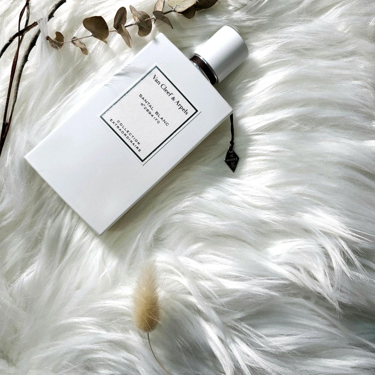 Santal Blanc - Van Cleef & Arpels - Gallery 4