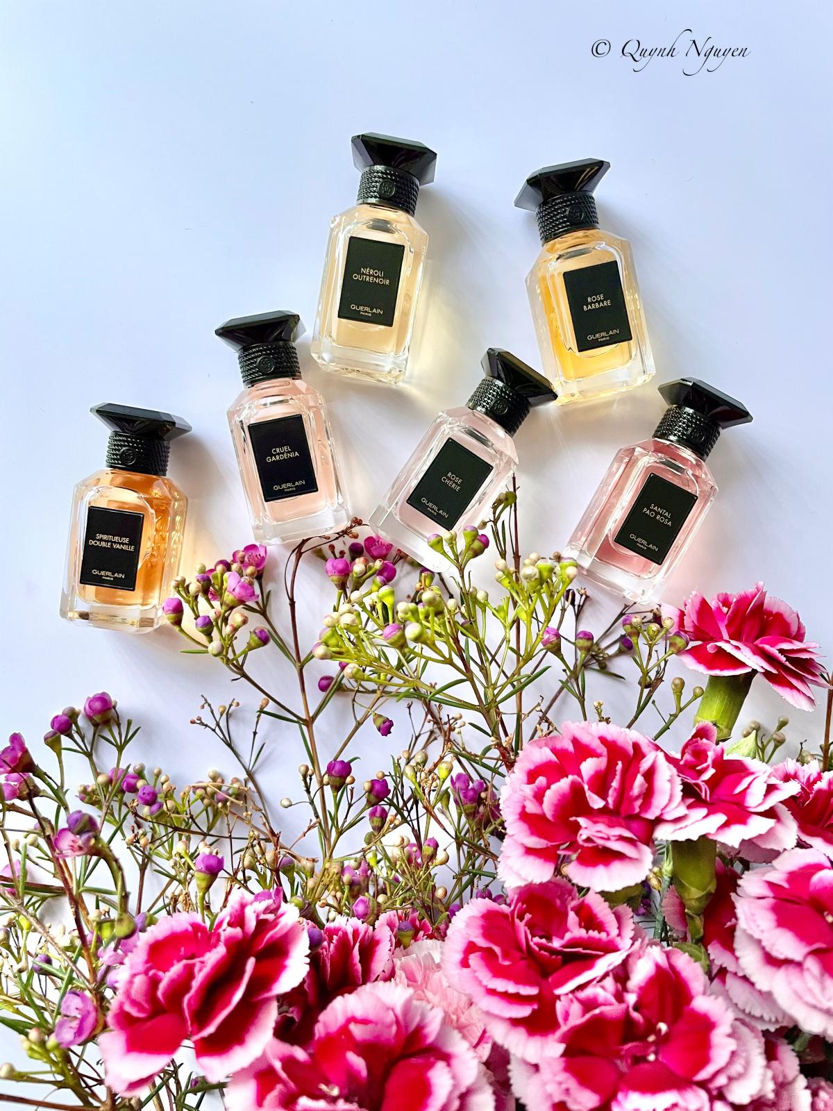 Santal Pao Rosa - Guerlain - Gallery 2