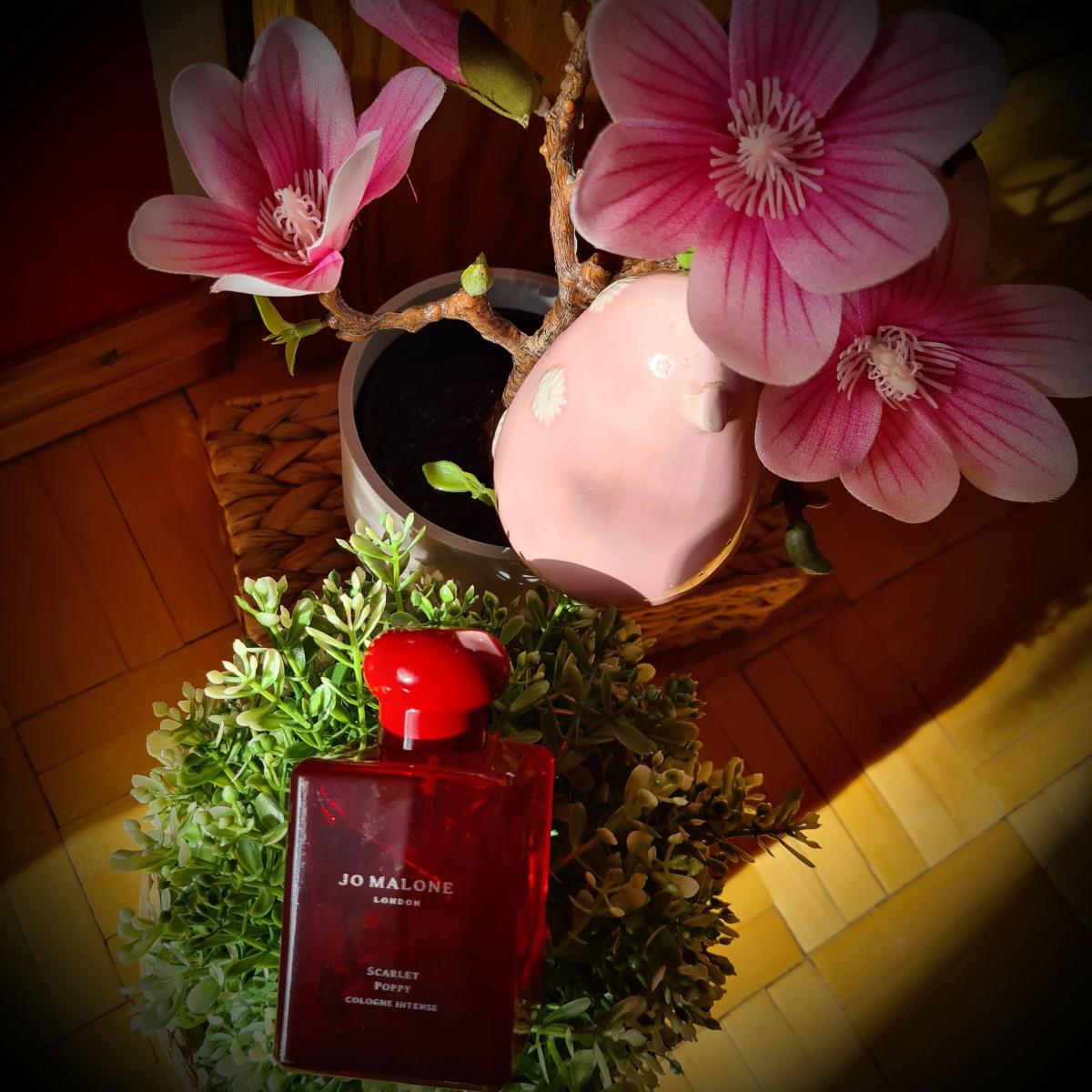 Scarlet Poppy Intense - Jo Malone London - Gallery 2