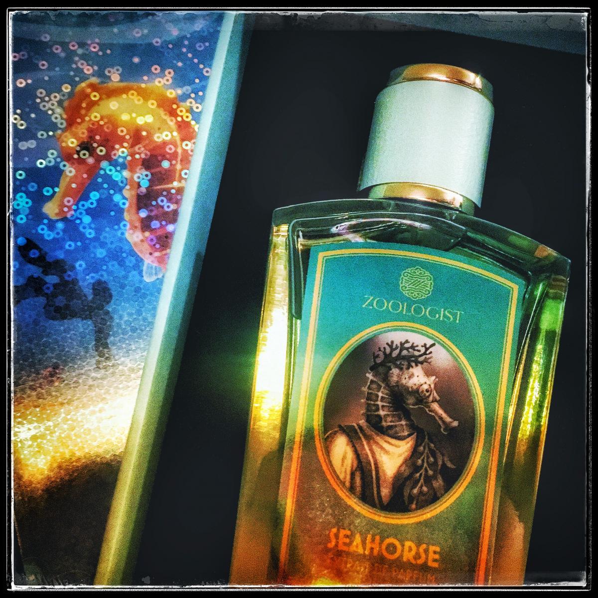 Seahorse - Zoologist Perfumes - Gallery 2
