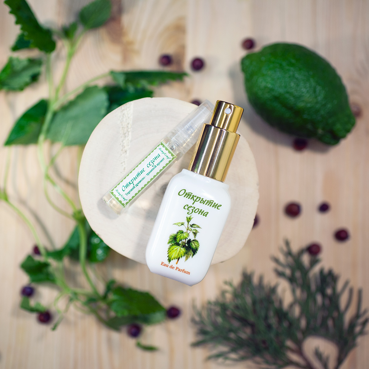 Season Opening (Открытие Cезона) - Mazhu Kozhu (Мажу Кожу) - Gallery 1