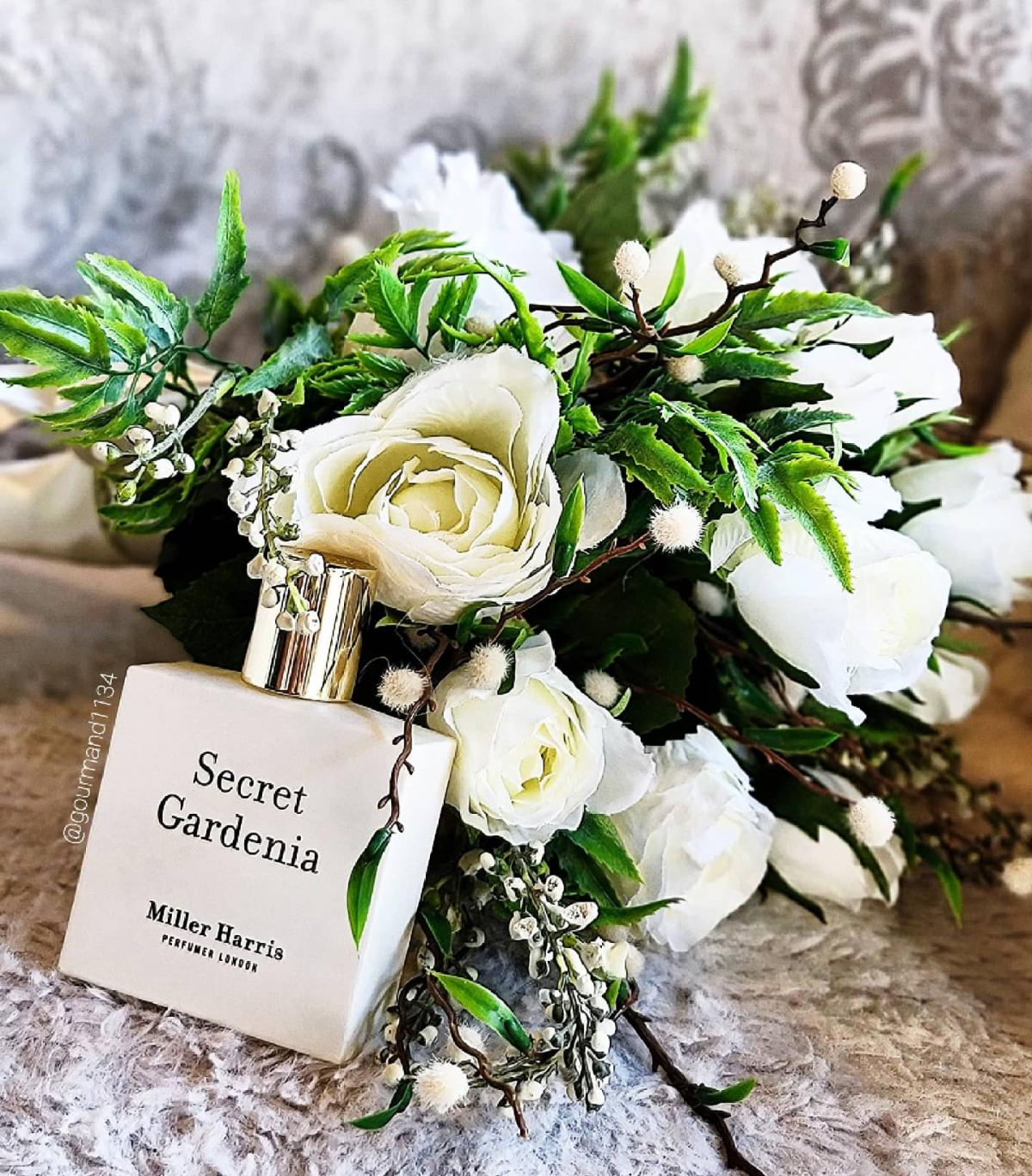 Secret Gardenia - Miller Harris - Gallery 3