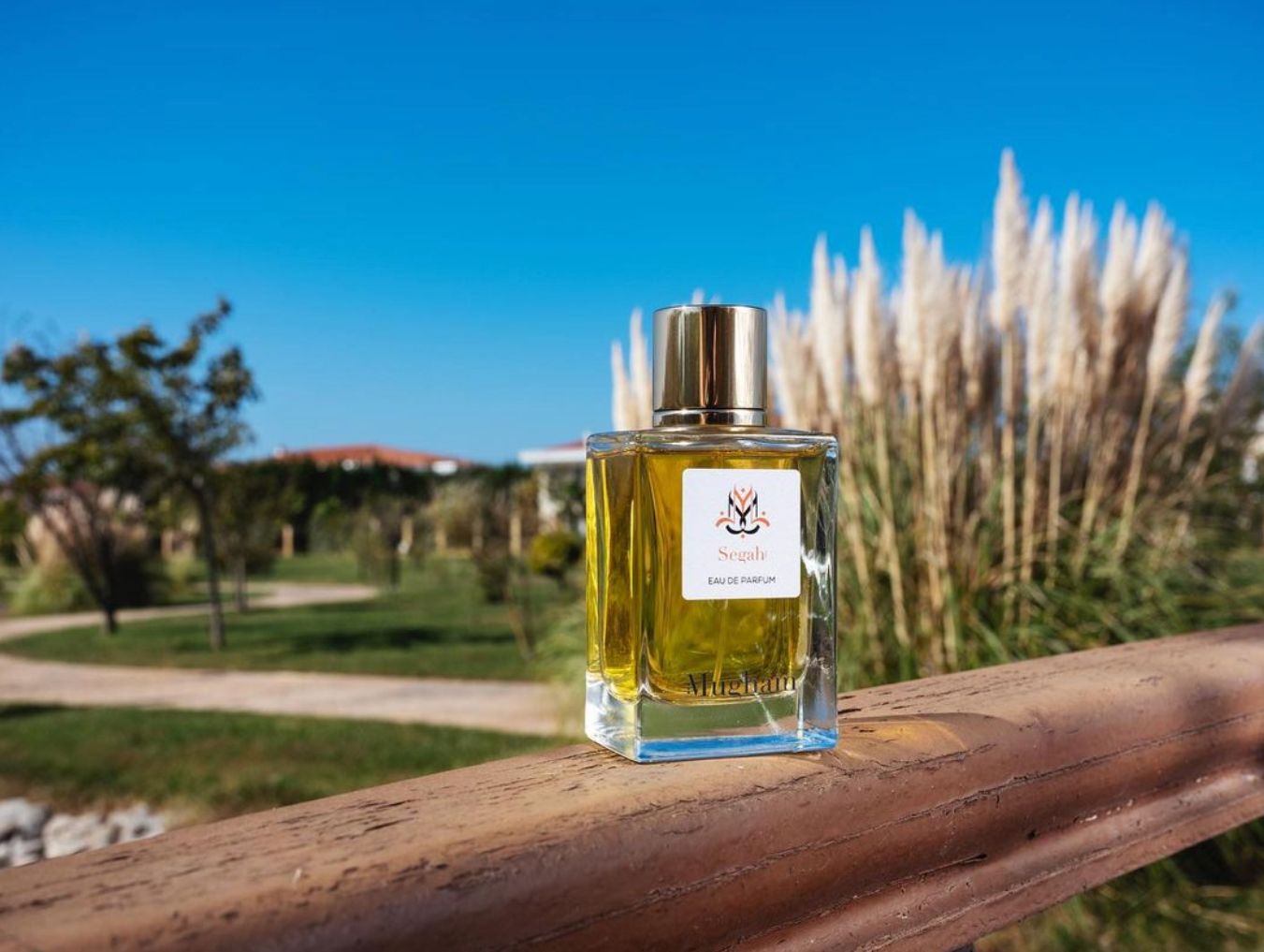 Segah - Mugham - Gallery 1