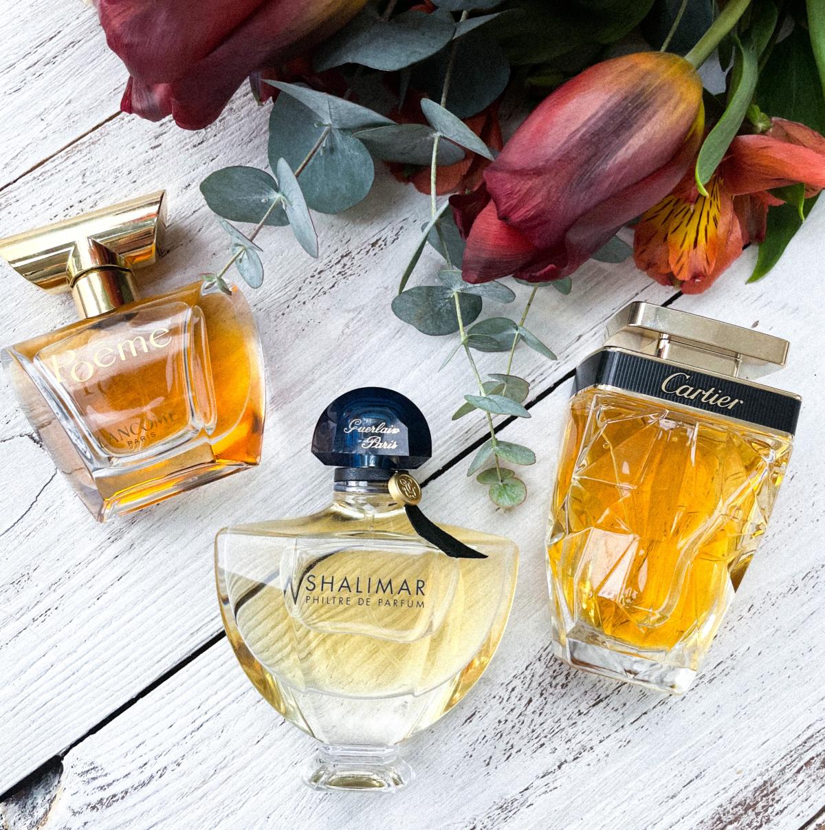 Shalimar Philtre de Parfum - Guerlain - Gallery 2