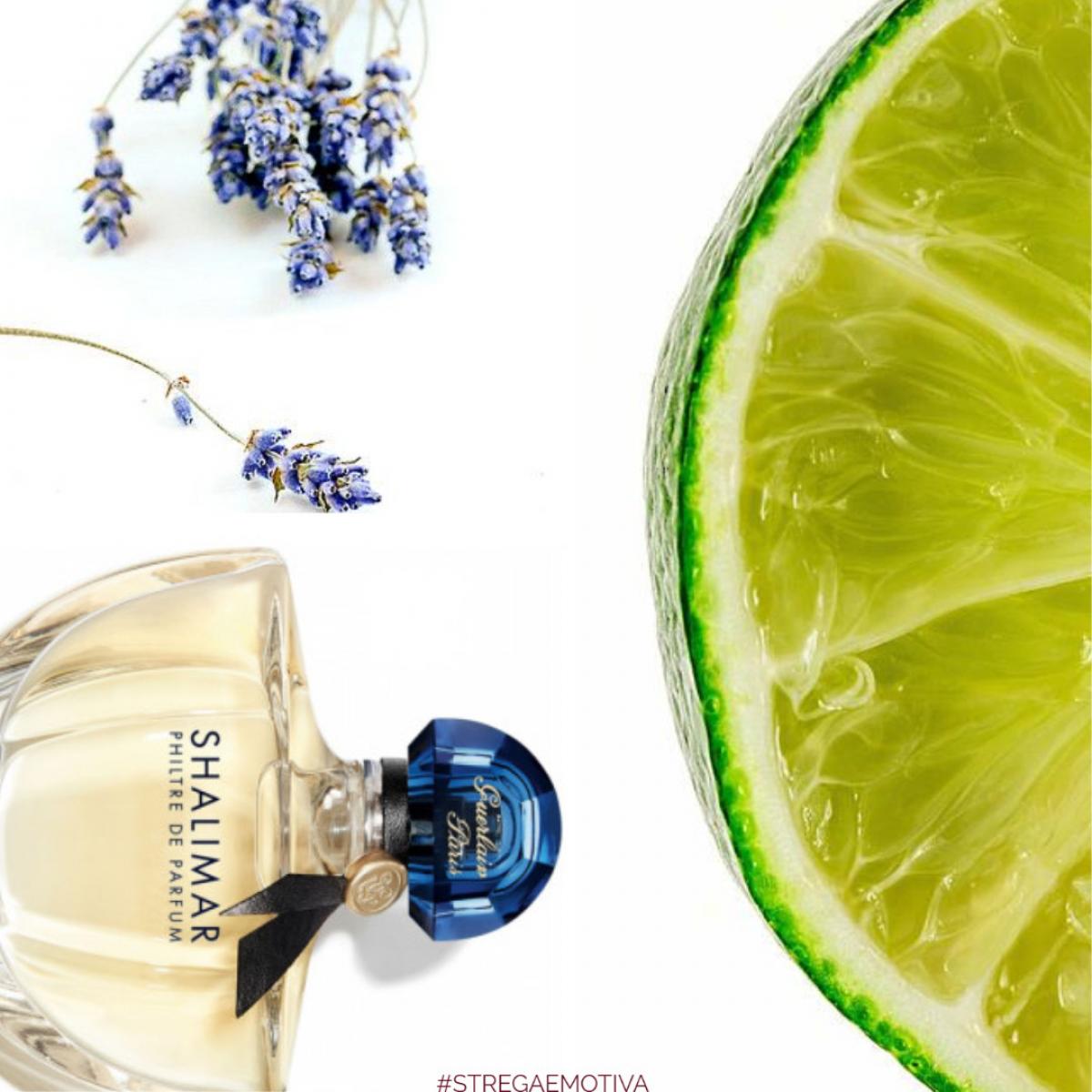 Shalimar Philtre de Parfum - Guerlain - Gallery 3