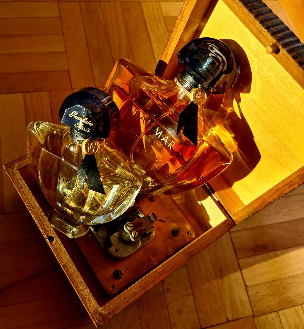 Shalimar Philtre de Parfum - Guerlain - Gallery 2