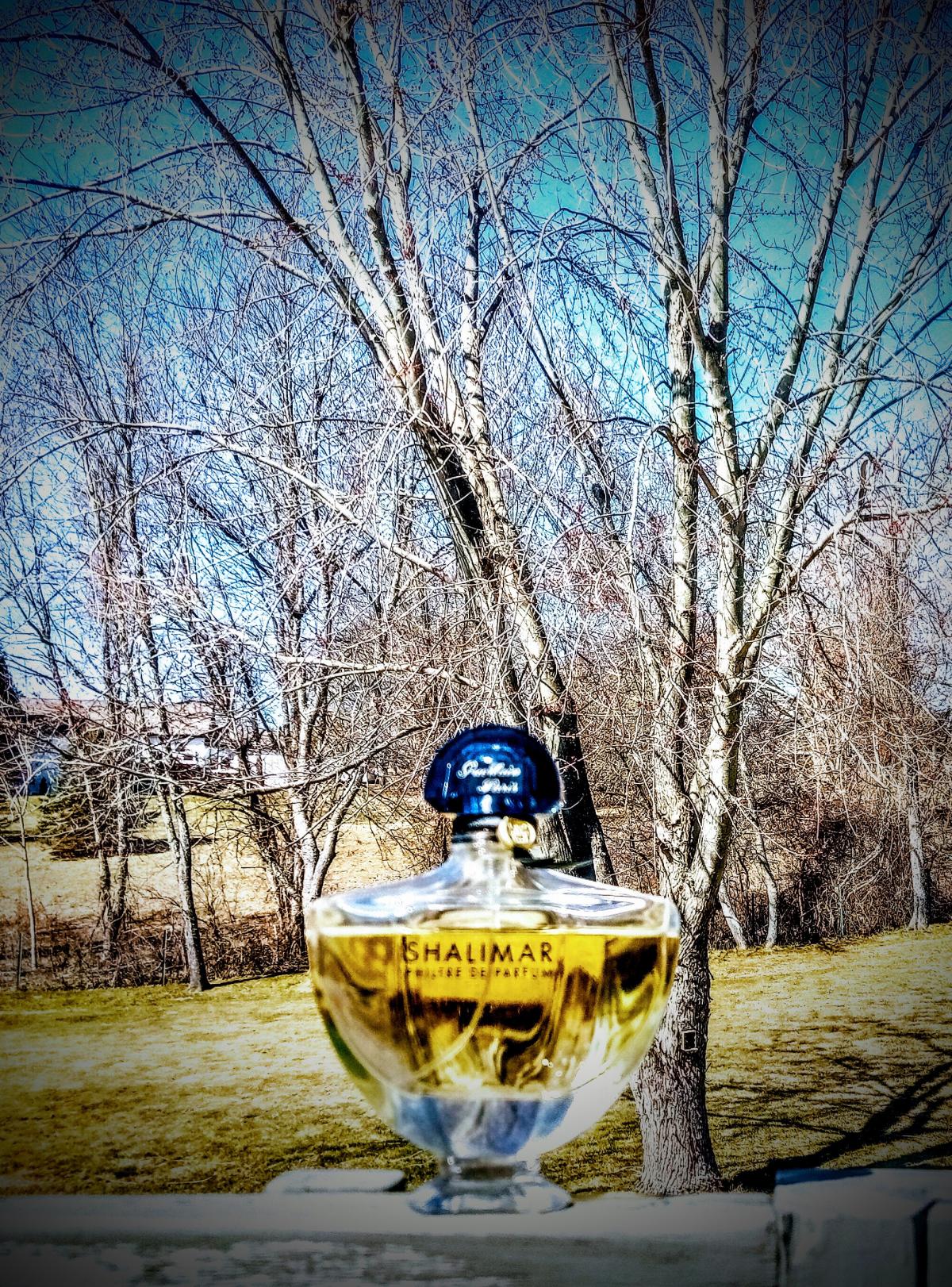 Shalimar Philtre de Parfum - Guerlain - Gallery 3