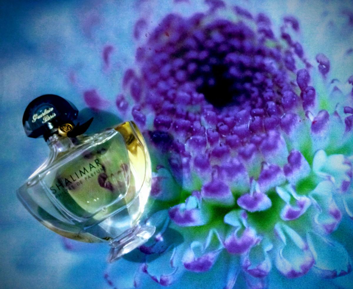 Shalimar Philtre de Parfum - Guerlain - Gallery 3
