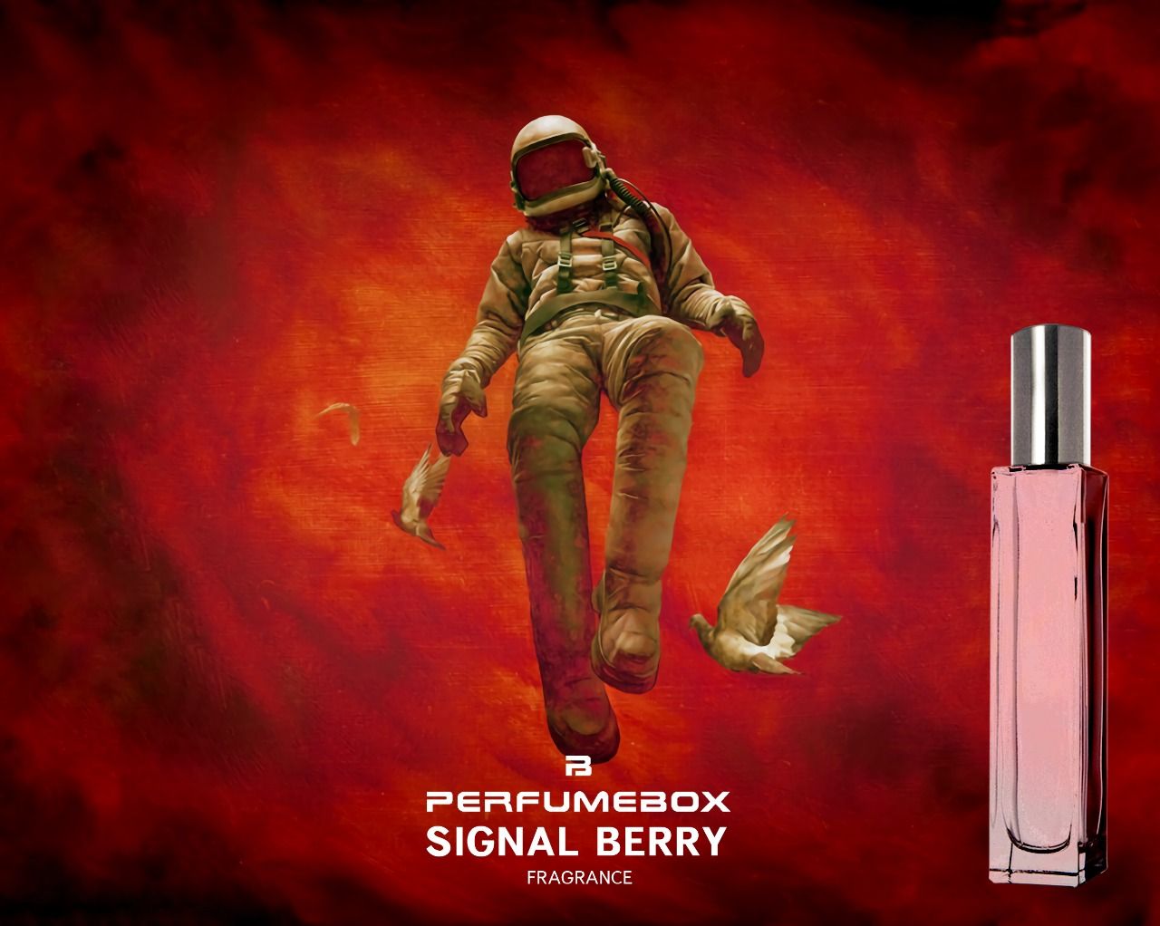 Signal Berry - PerfumeBox - Gallery 1