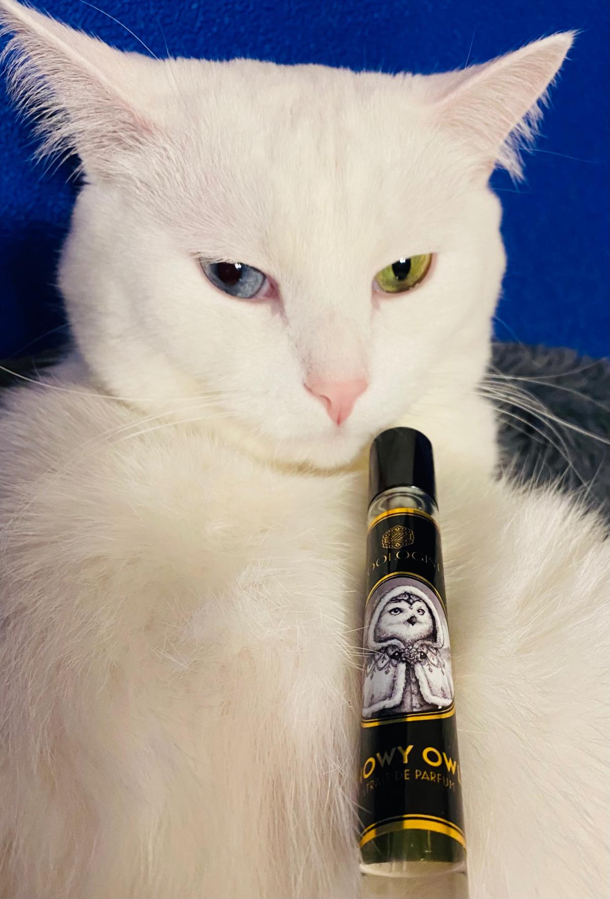 Snowy Owl - Zoologist Perfumes - Gallery 1