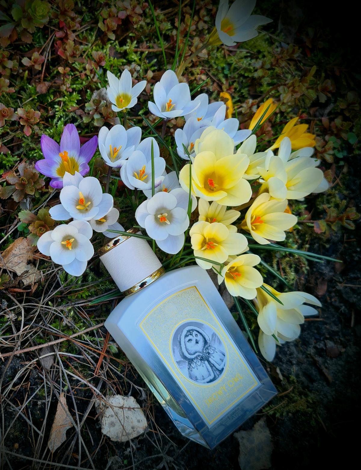 Snowy Owl - Zoologist Perfumes - Gallery 3