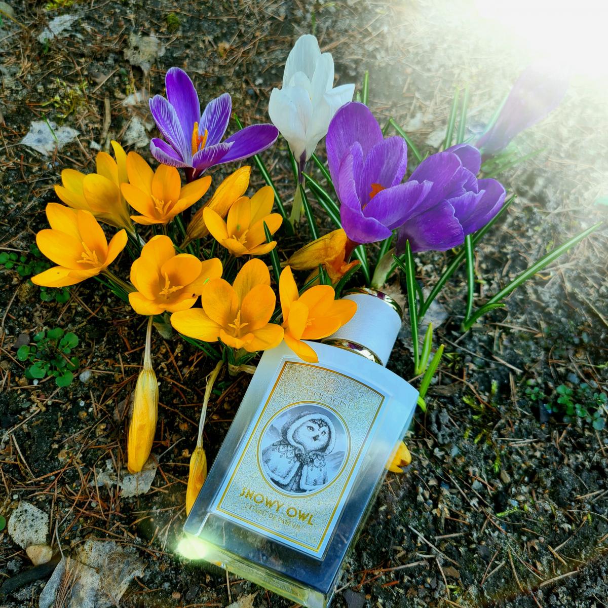 Snowy Owl - Zoologist Perfumes - Gallery 2