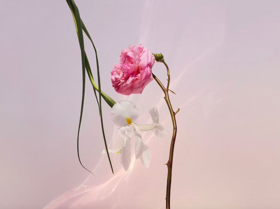 Spell On You - Louis Vuitton - Gallery 1