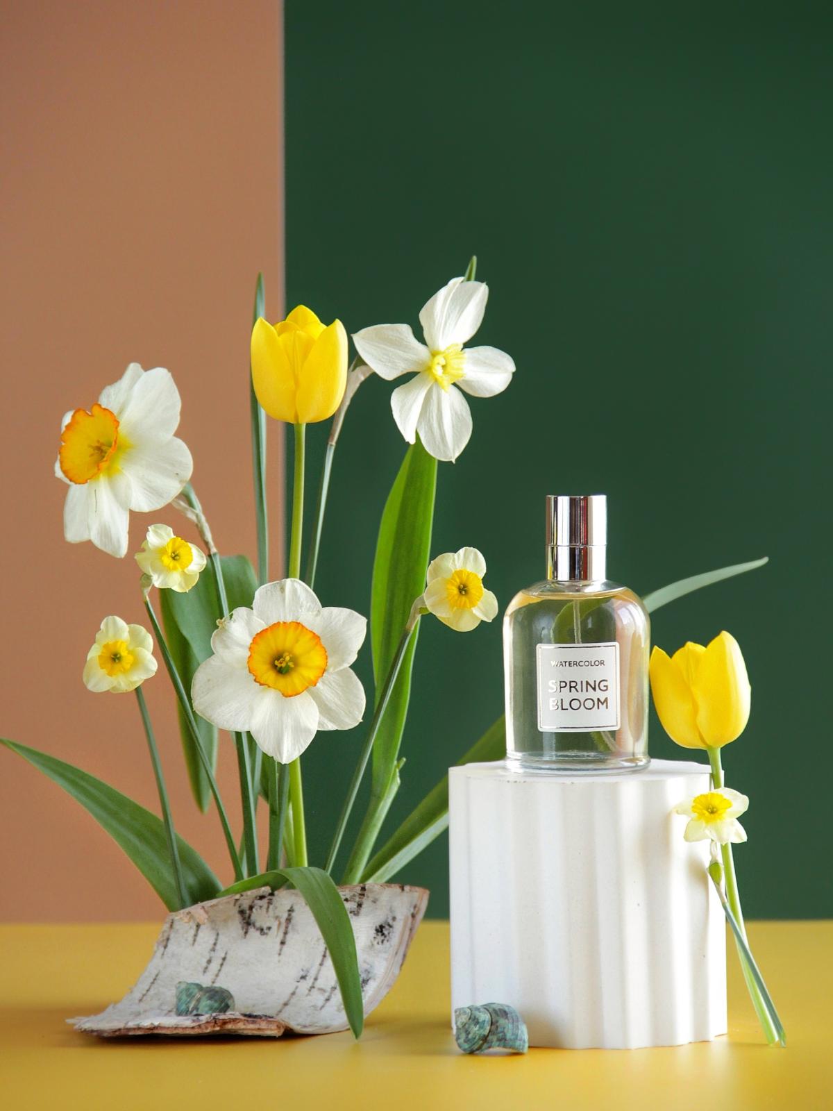 Spring Bloom - Brocard - Gallery 2