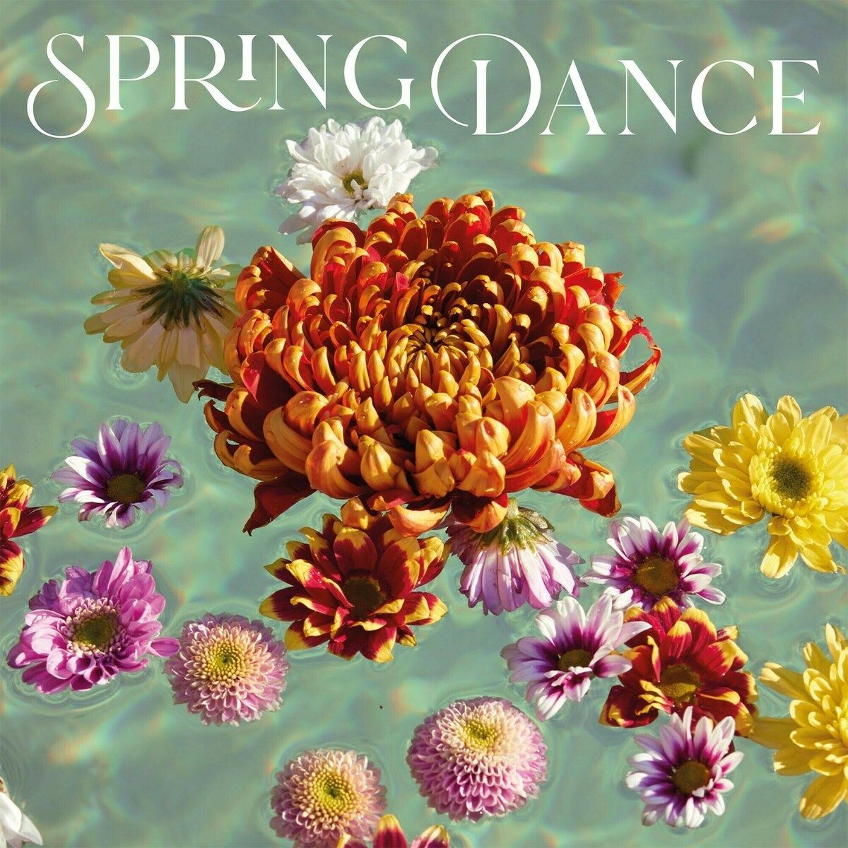 Spring Dance - Jusbox - Gallery 2