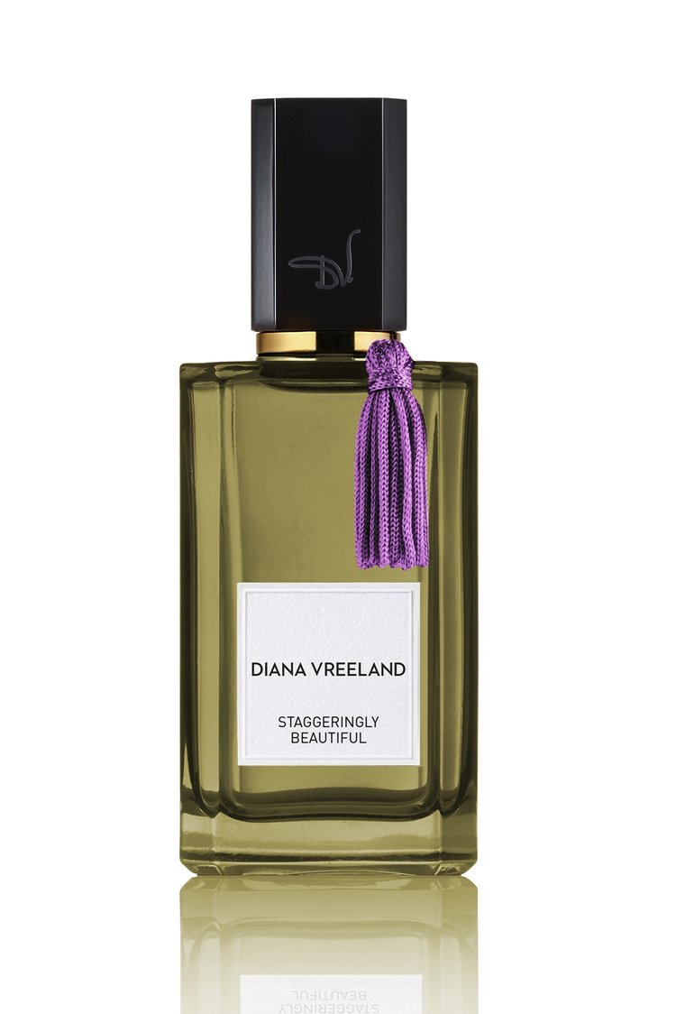 Staggeringly Beautiful - Diana Vreeland - Gallery 4